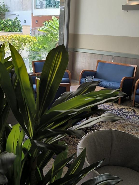 Фото Hotel Baia Verde Gallipoli