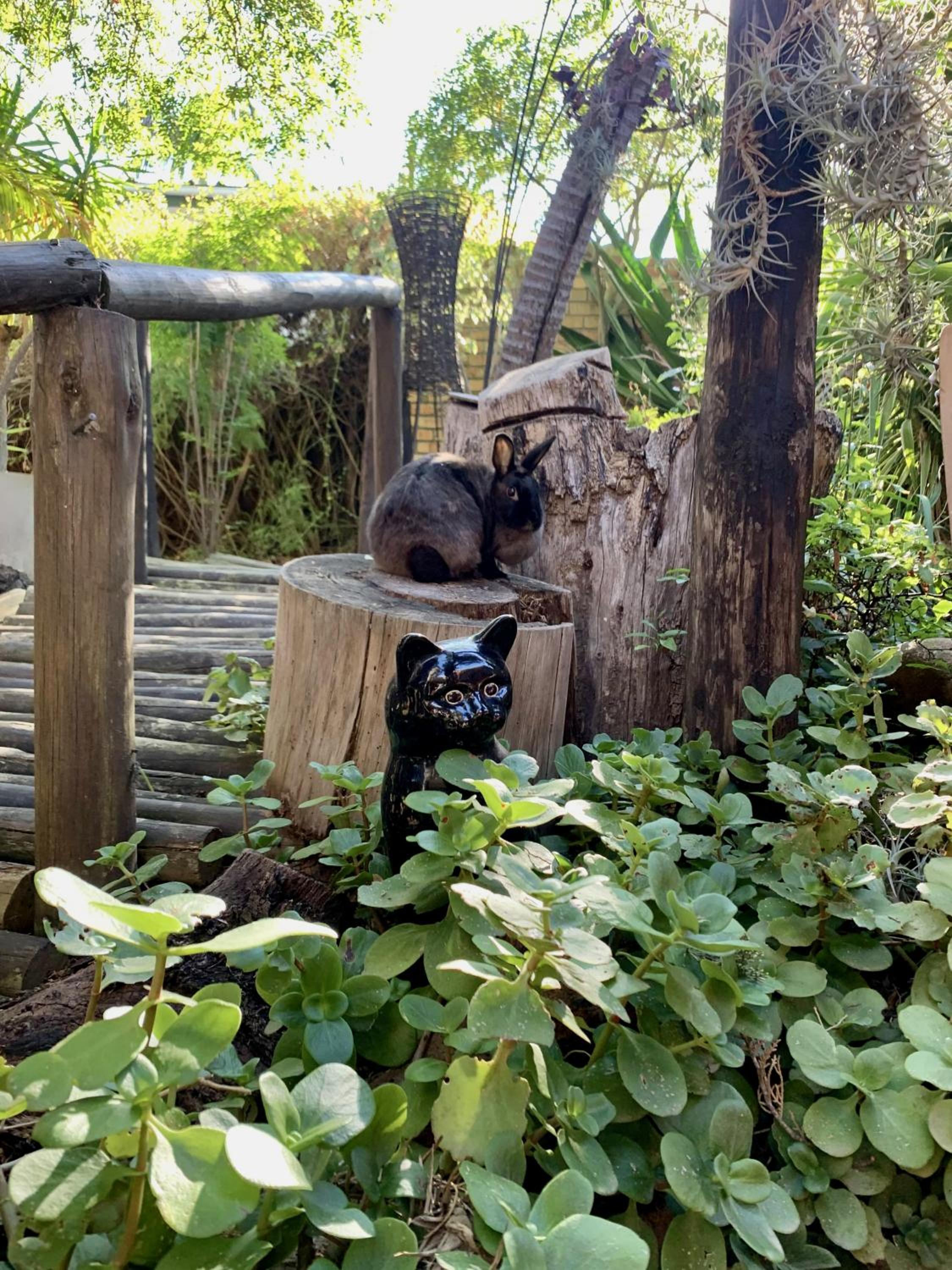 Фото The Little Hideaway