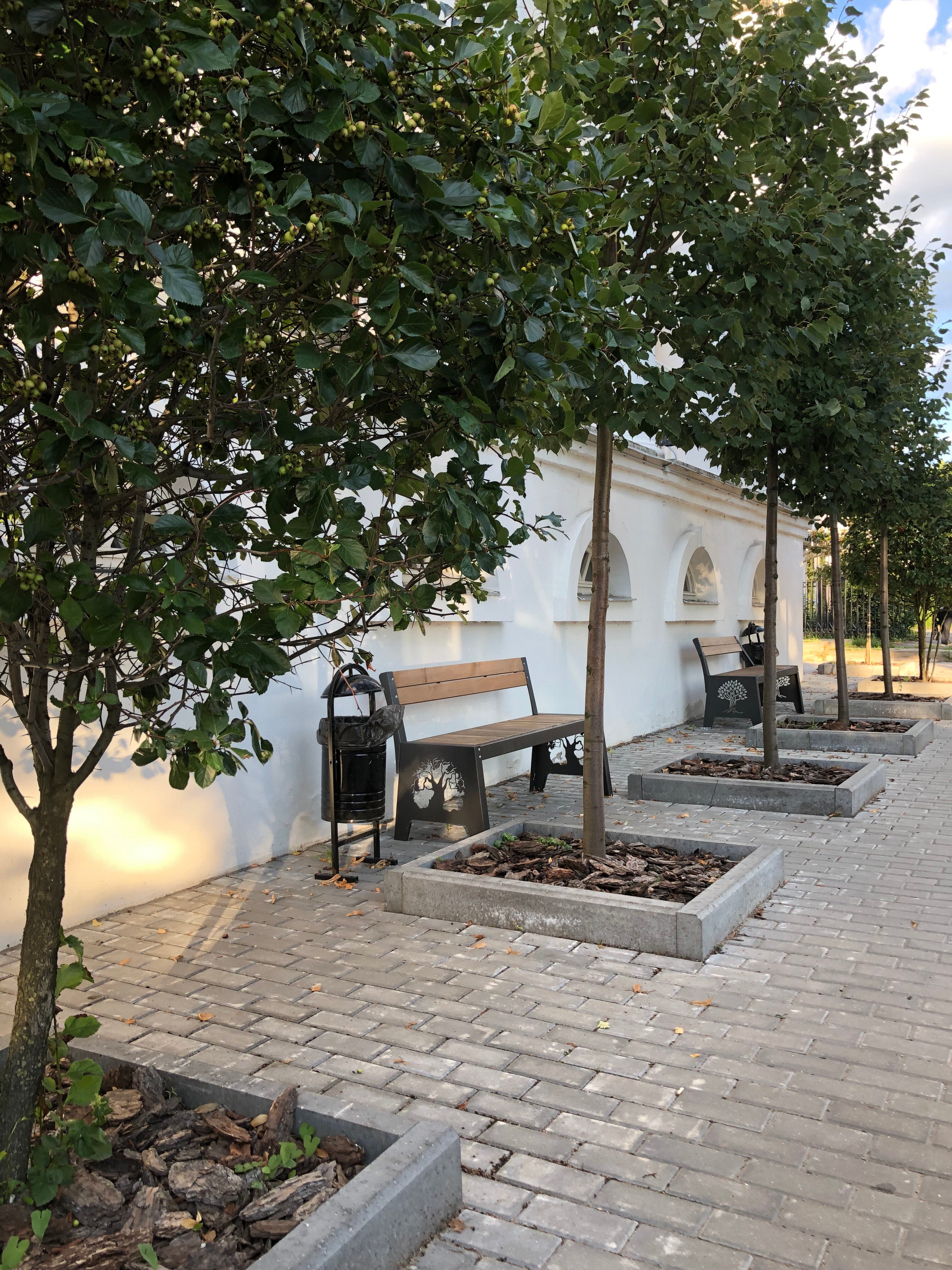 Фото Вознесенская