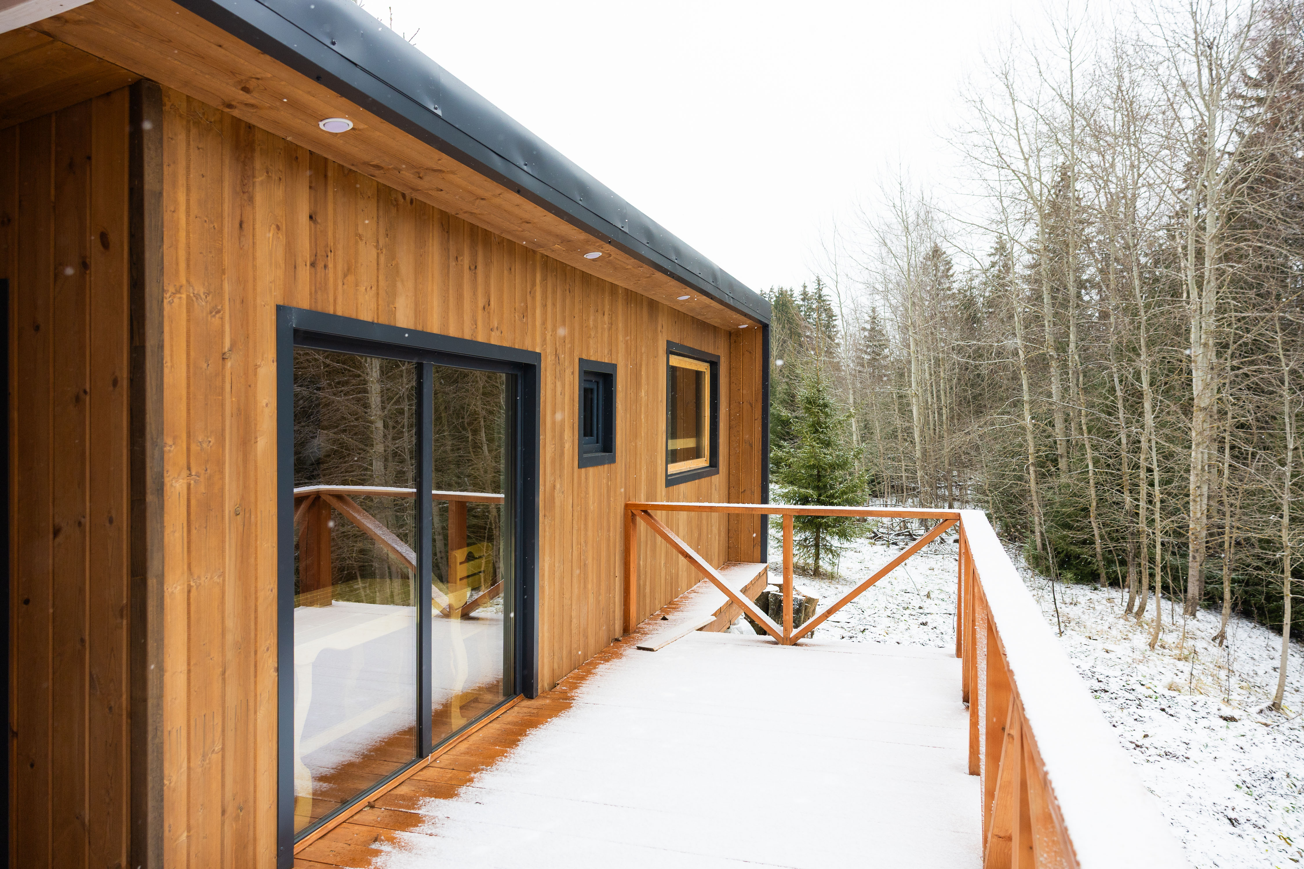 Фото Липовый цвет