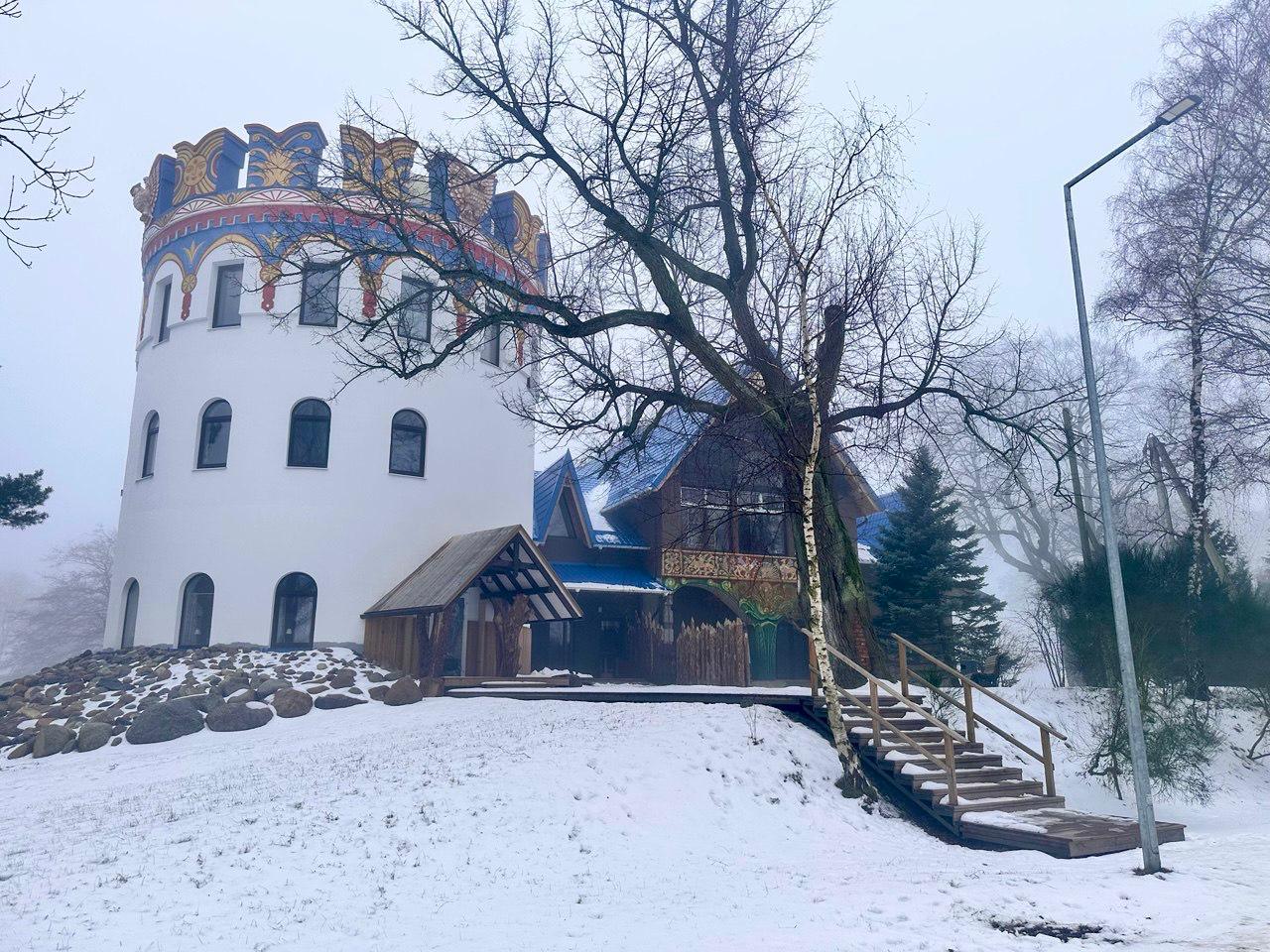 Фото Белый филин