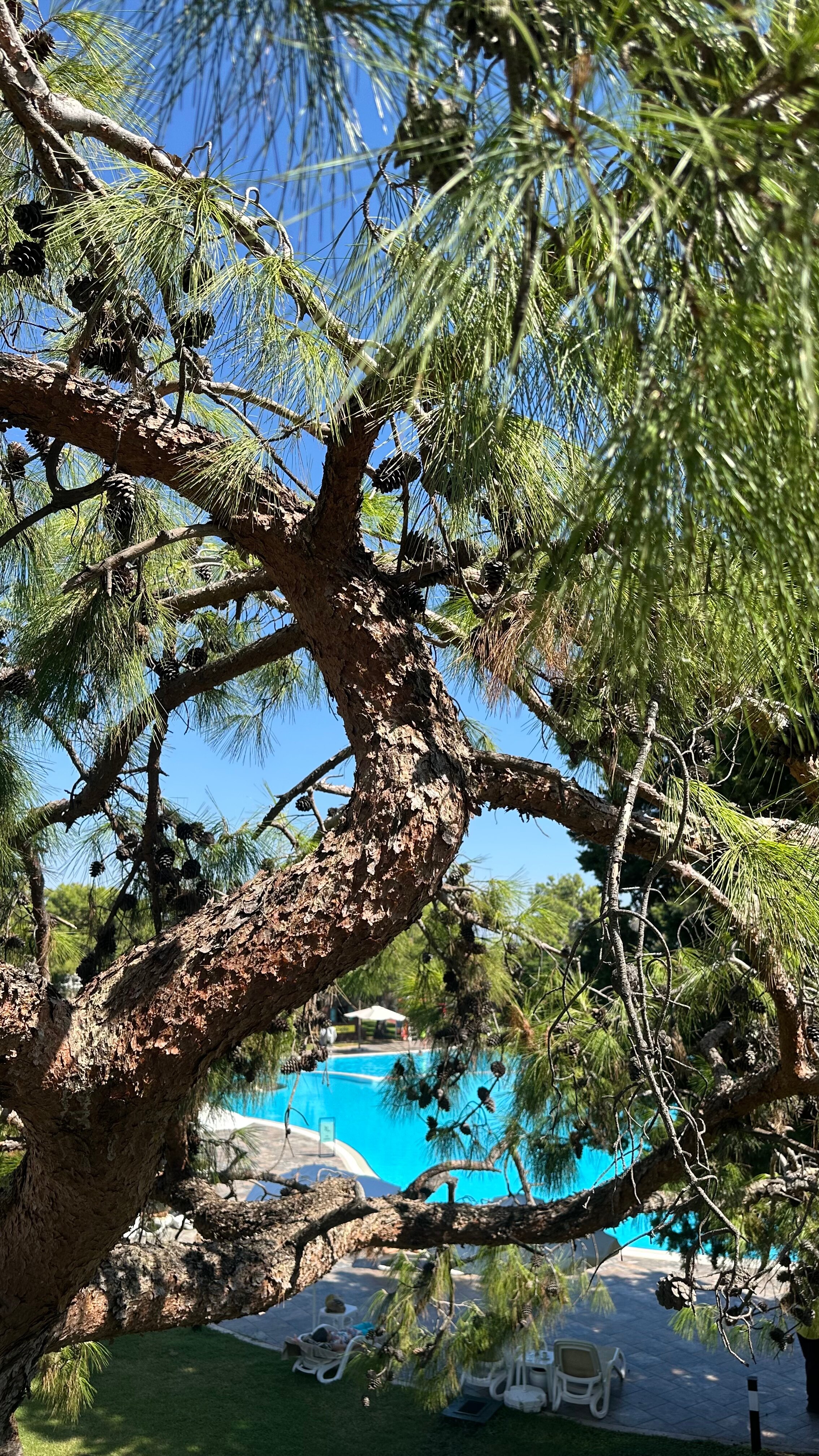 Фото Tui Magic Life Rixos Beldibi