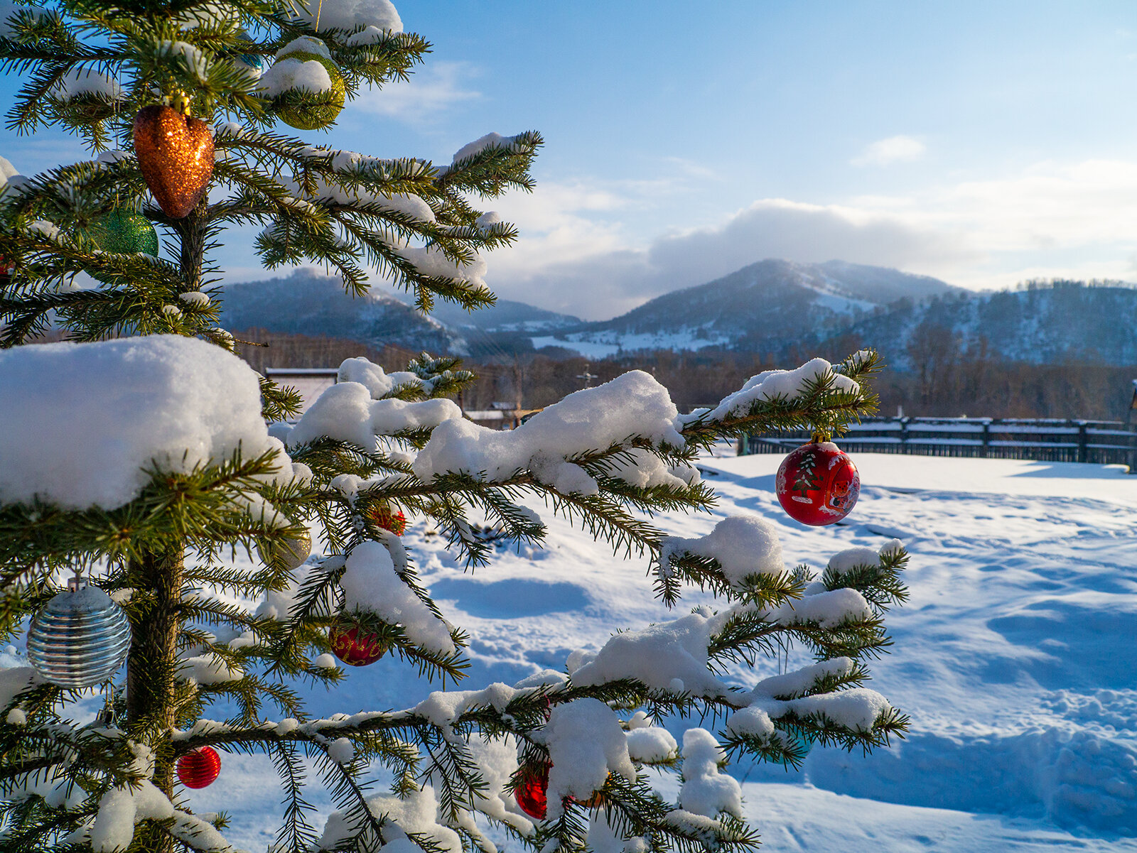 Фото отеля 5