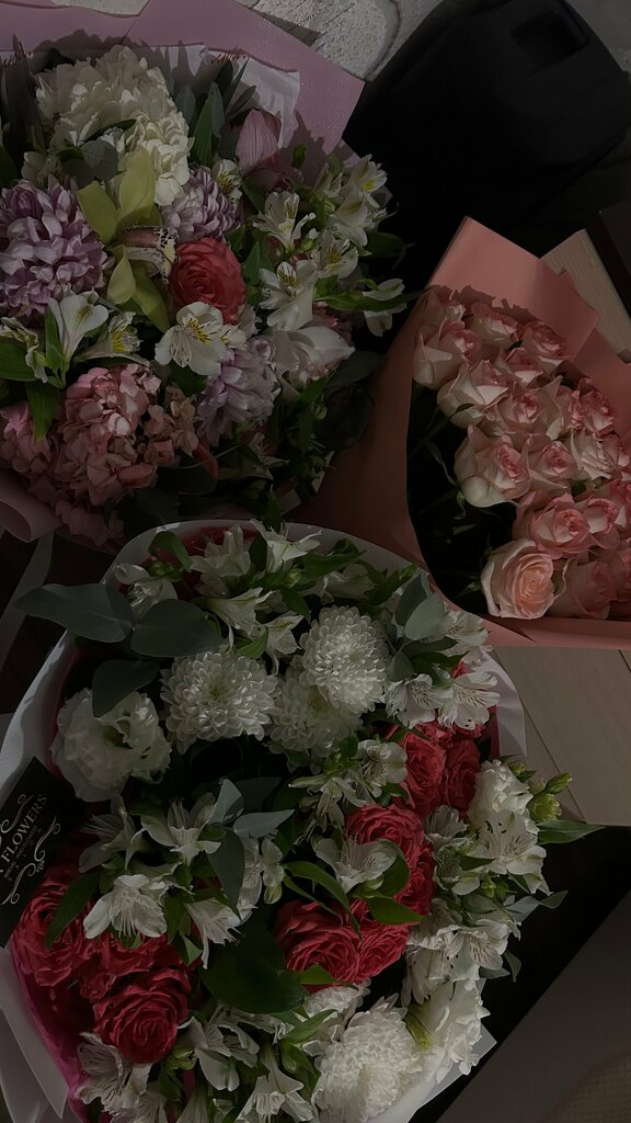 Алиса Оганнисян