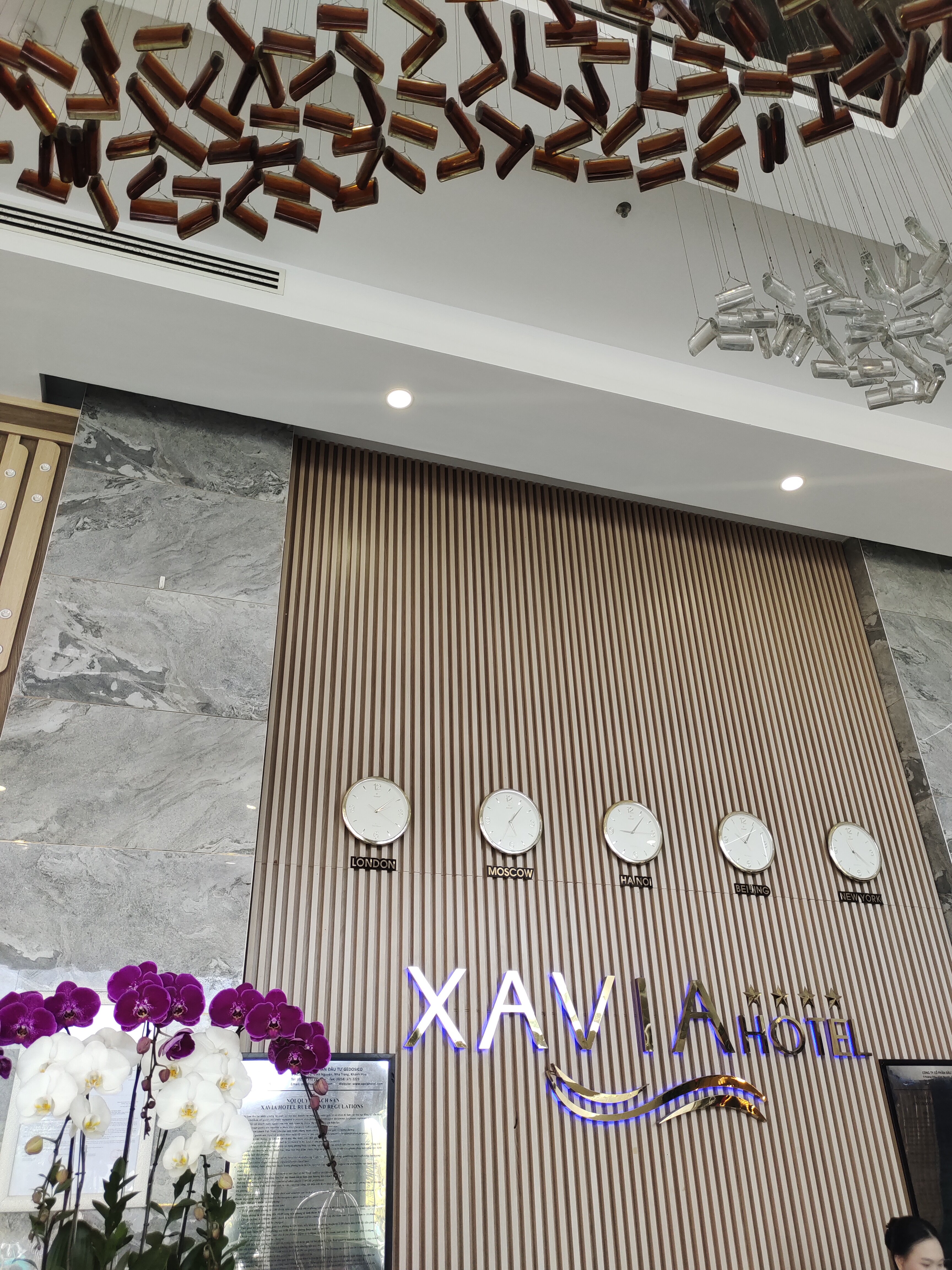 Фото Xavia Hotel