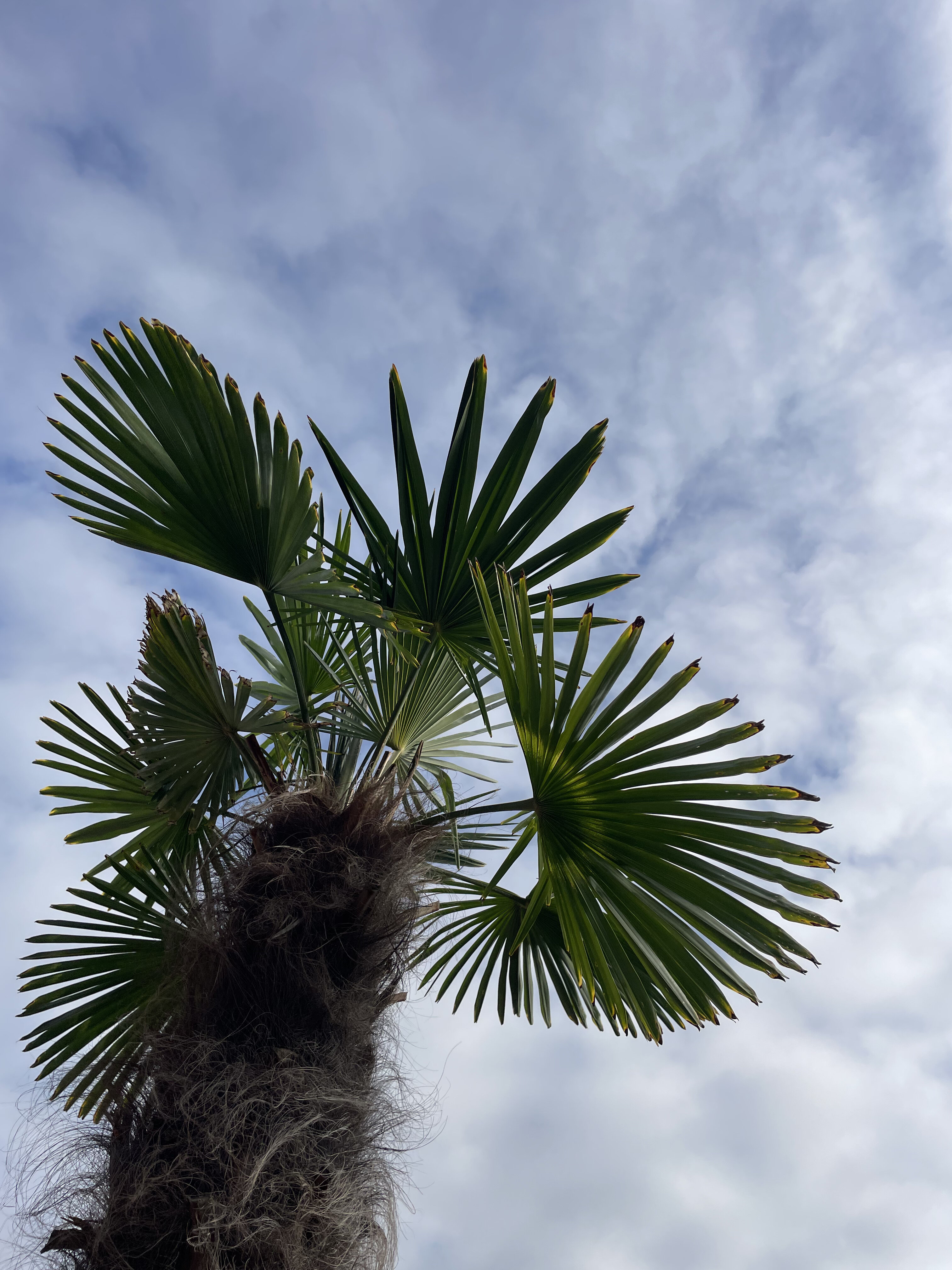 Фото Здоровье