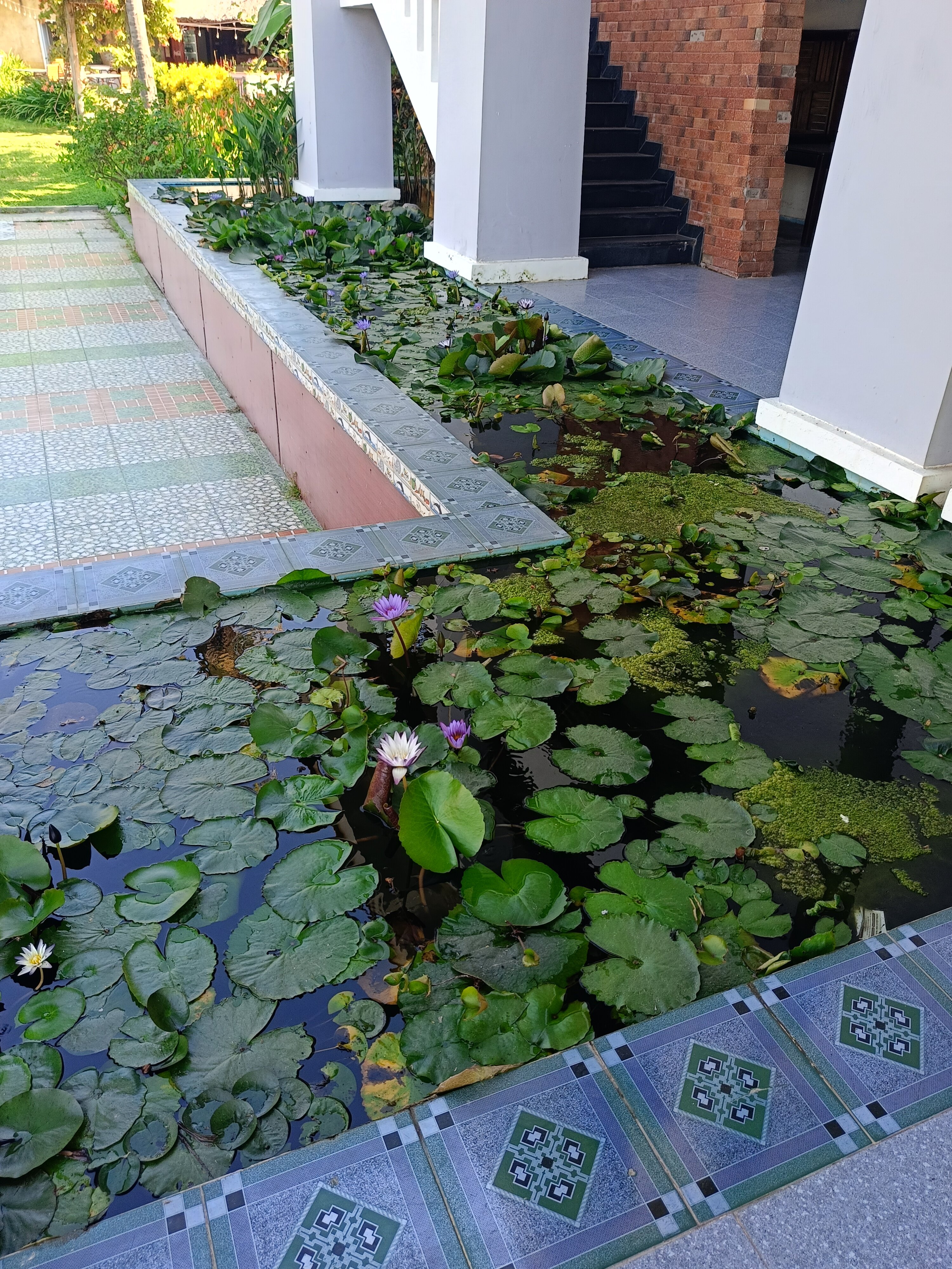 Фото MuiNe Century Beach Resort and SPA
