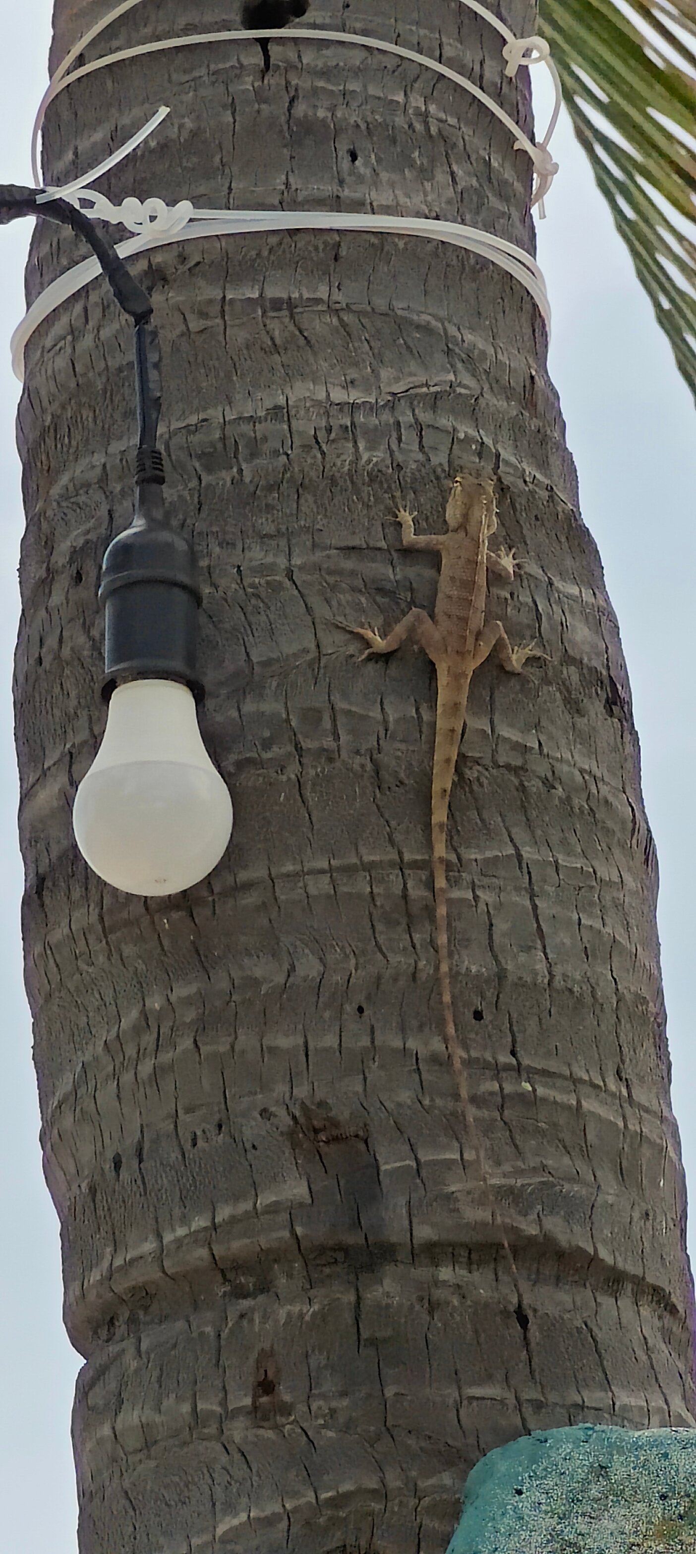 Фото Dynasty Beach Mui Ne Resort