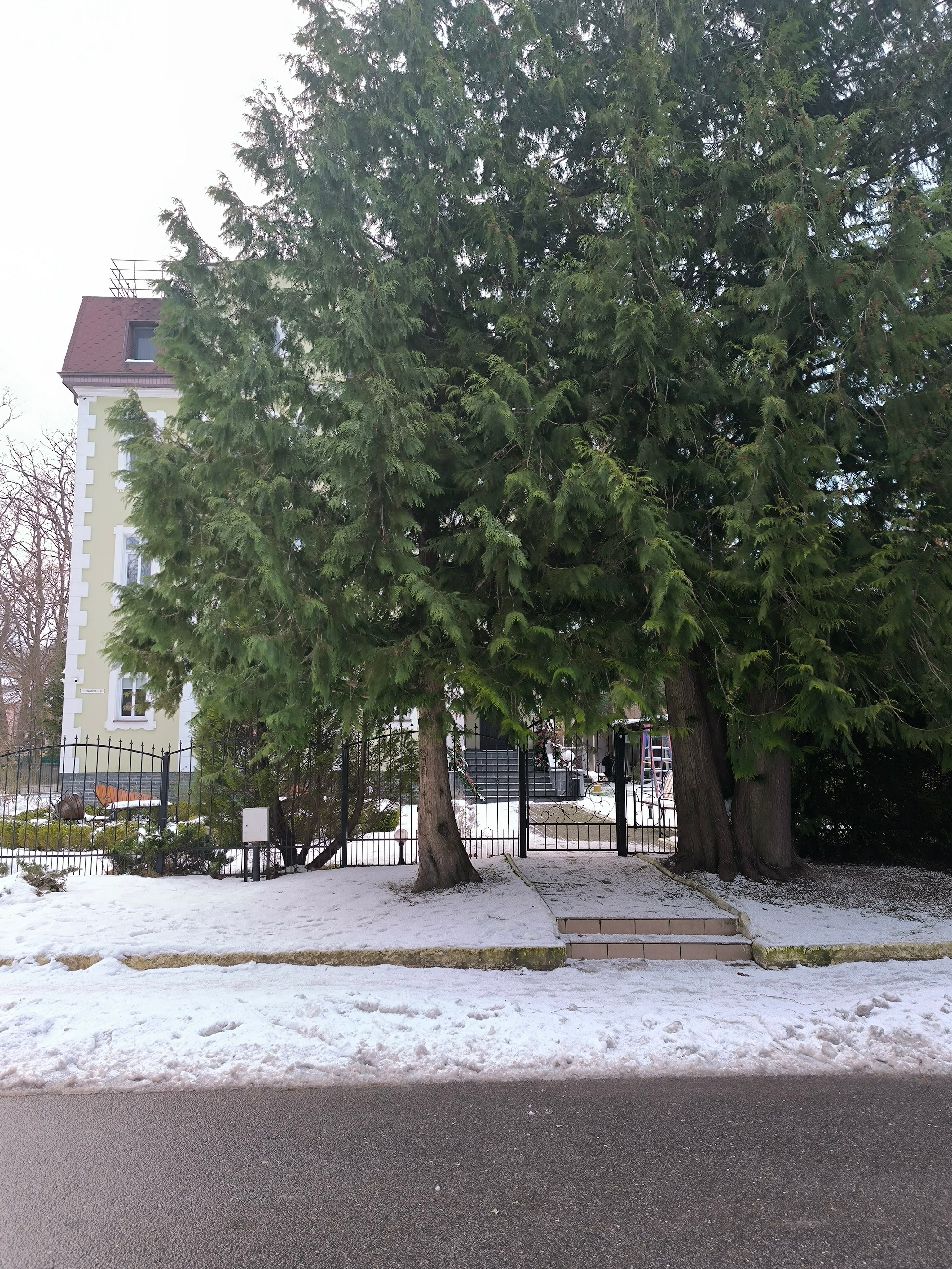 Фото Лес Георга