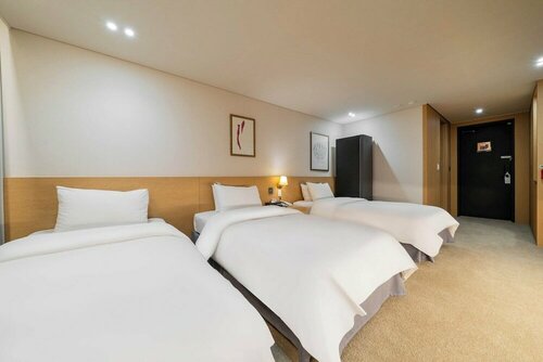 Гостиница Hotel Biz Inn в Вонджу