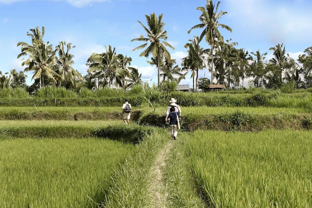 Фото Hanging Gardens of Bali