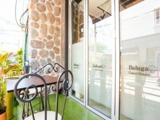 Фото Beluga Guest House - Hostel