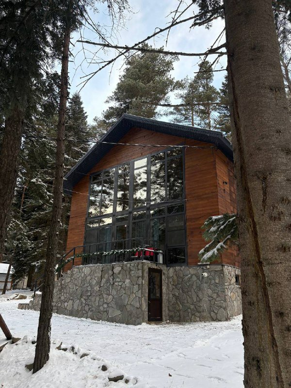 Фото Villa Arkhyz Gold