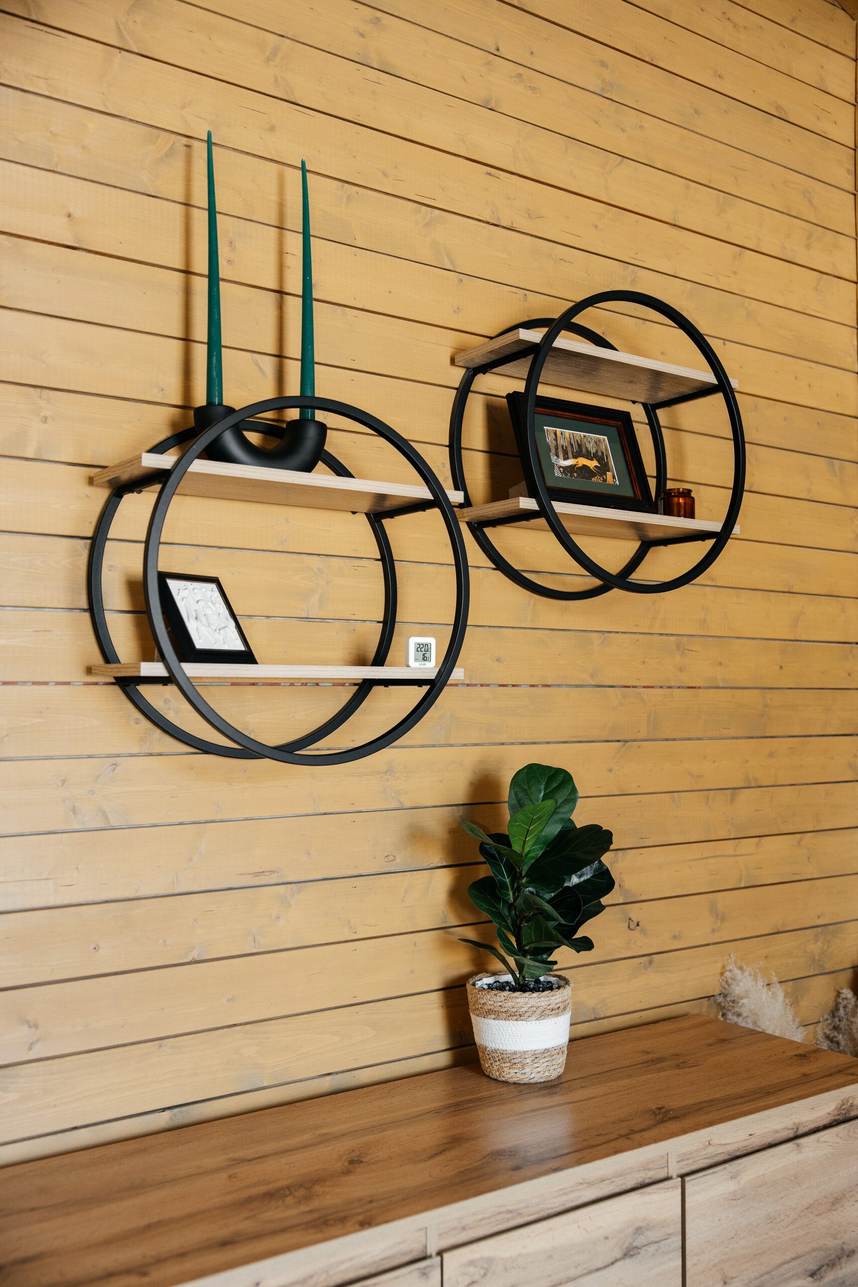 Фото Аврора