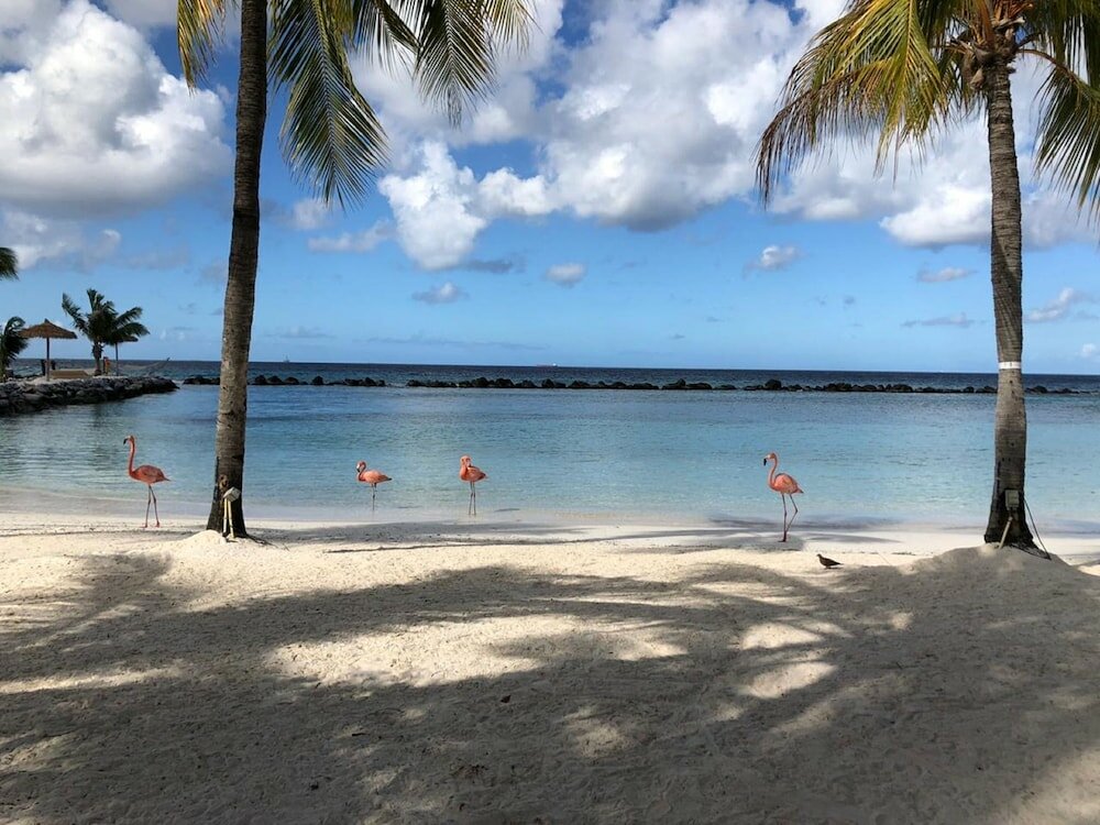 Фото Renaissance Wind Creek Aruba Resort