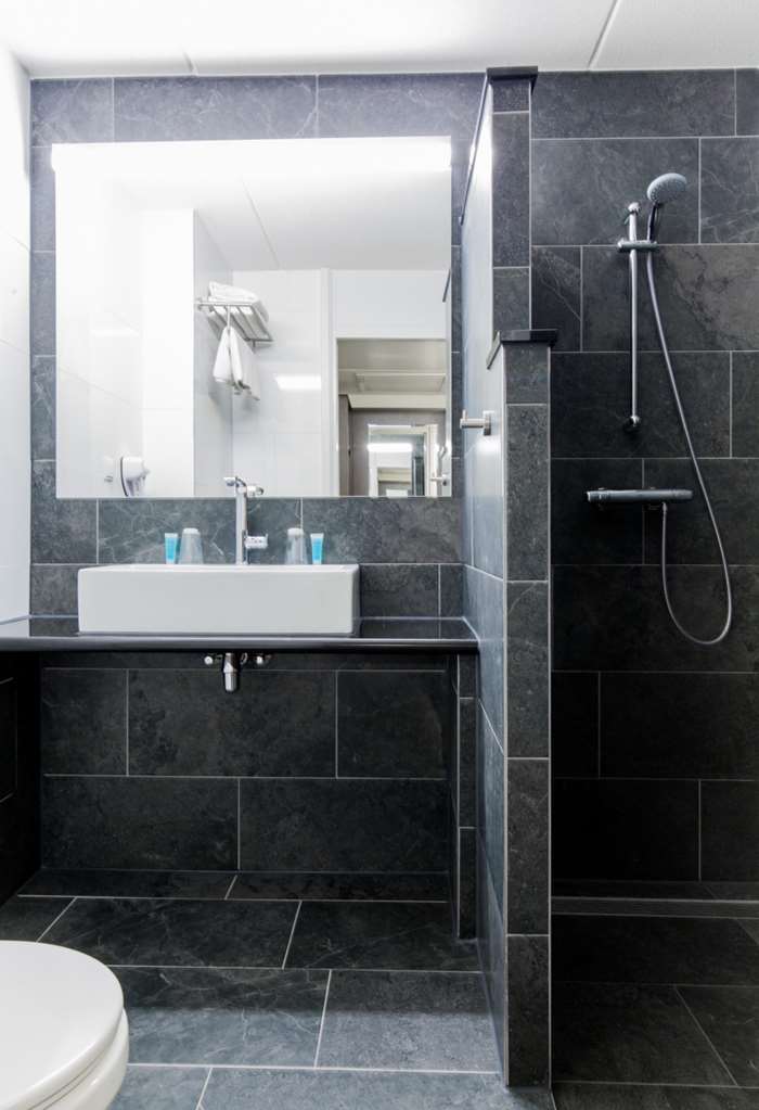 Фото Best Western Plus Amsterdam Airport Hotel