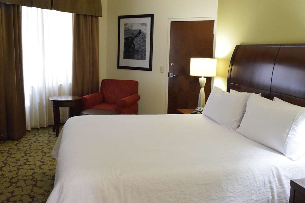 Фото Hilton Garden Inn Rochester Downtown