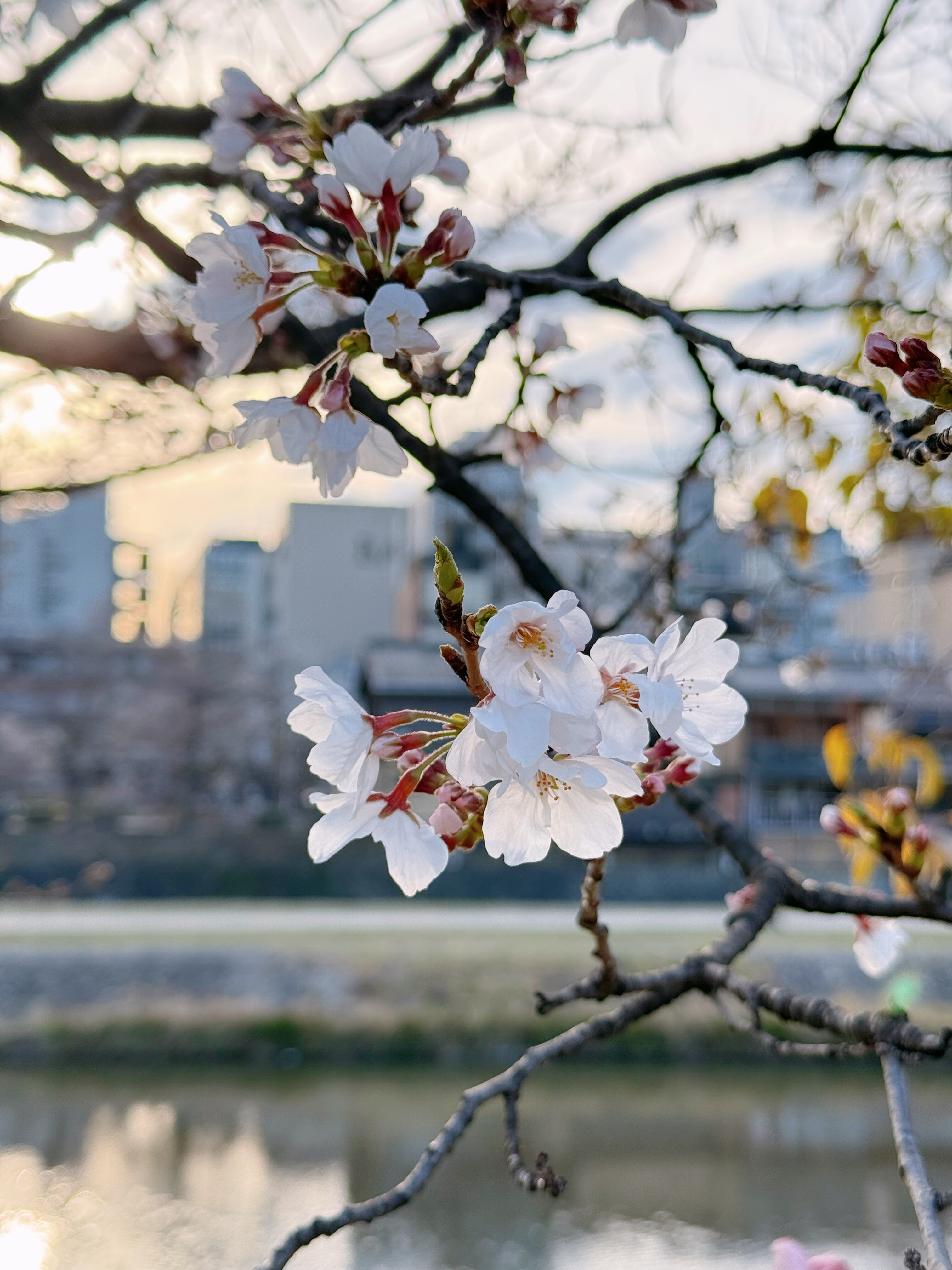 Фото Hotel Alza Kyoto