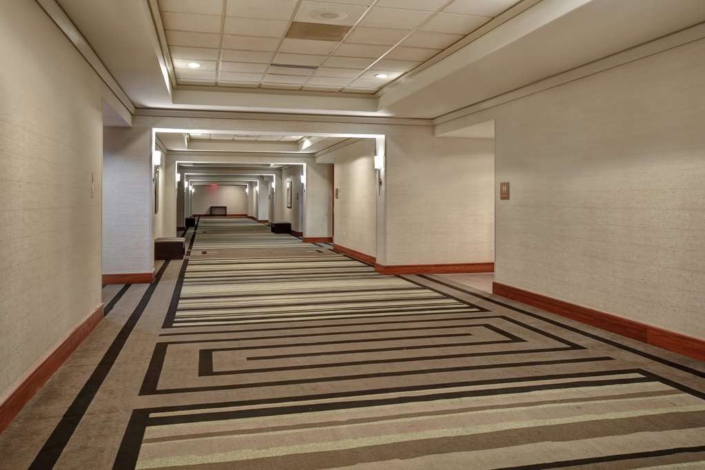 Фото Embassy Suites Little Rock