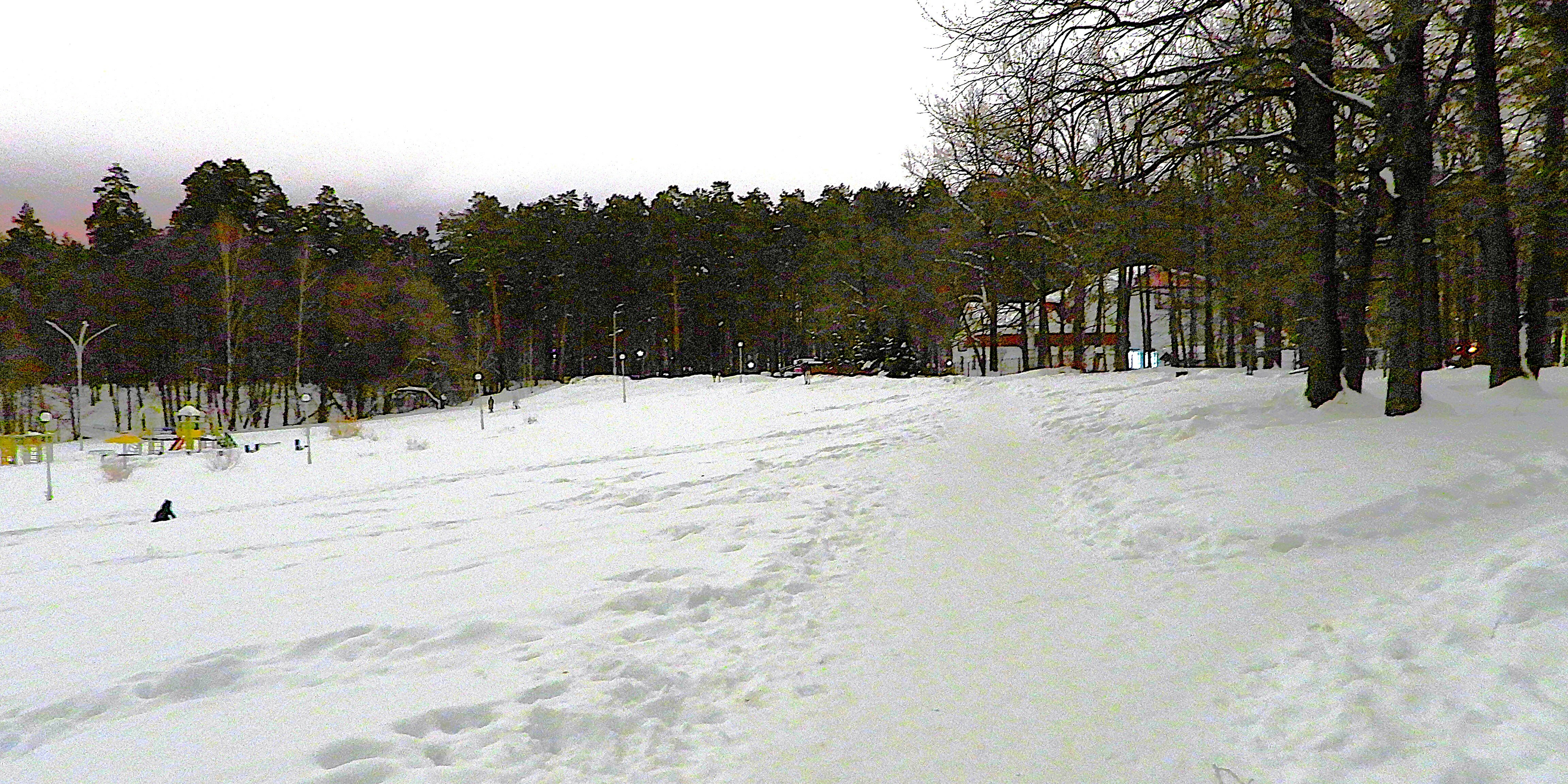 Фото Лесная