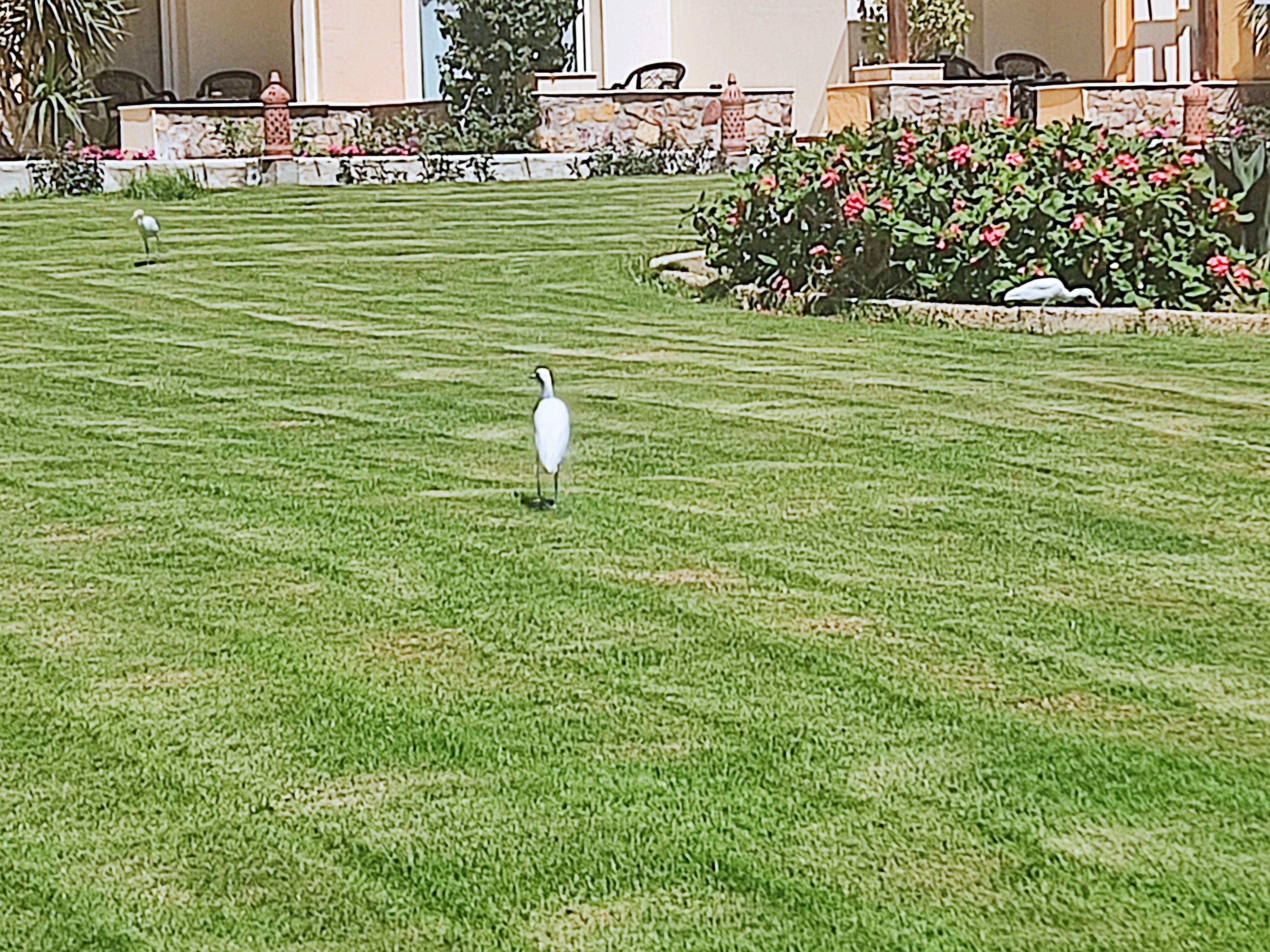 Concorde Moreen Beach Resort & SPA - 9