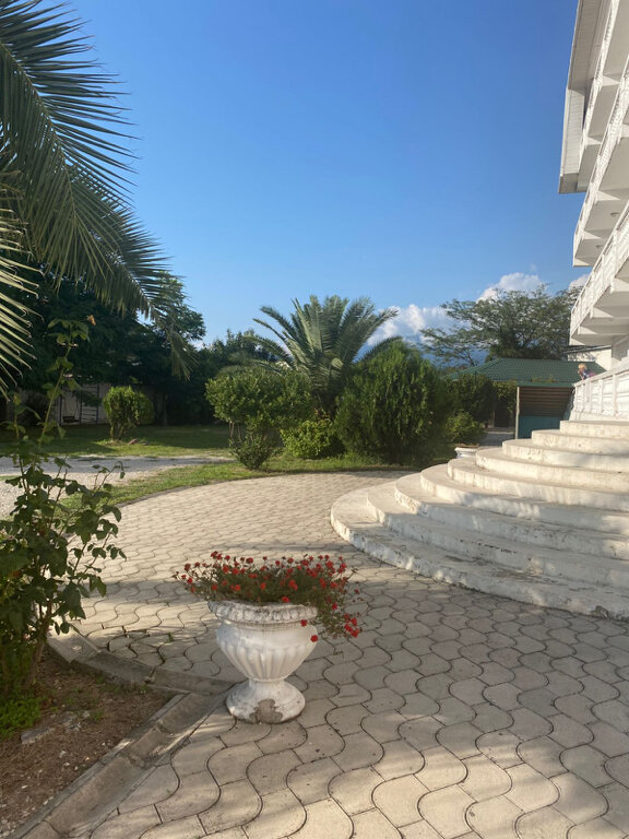 Фото Белая Панама