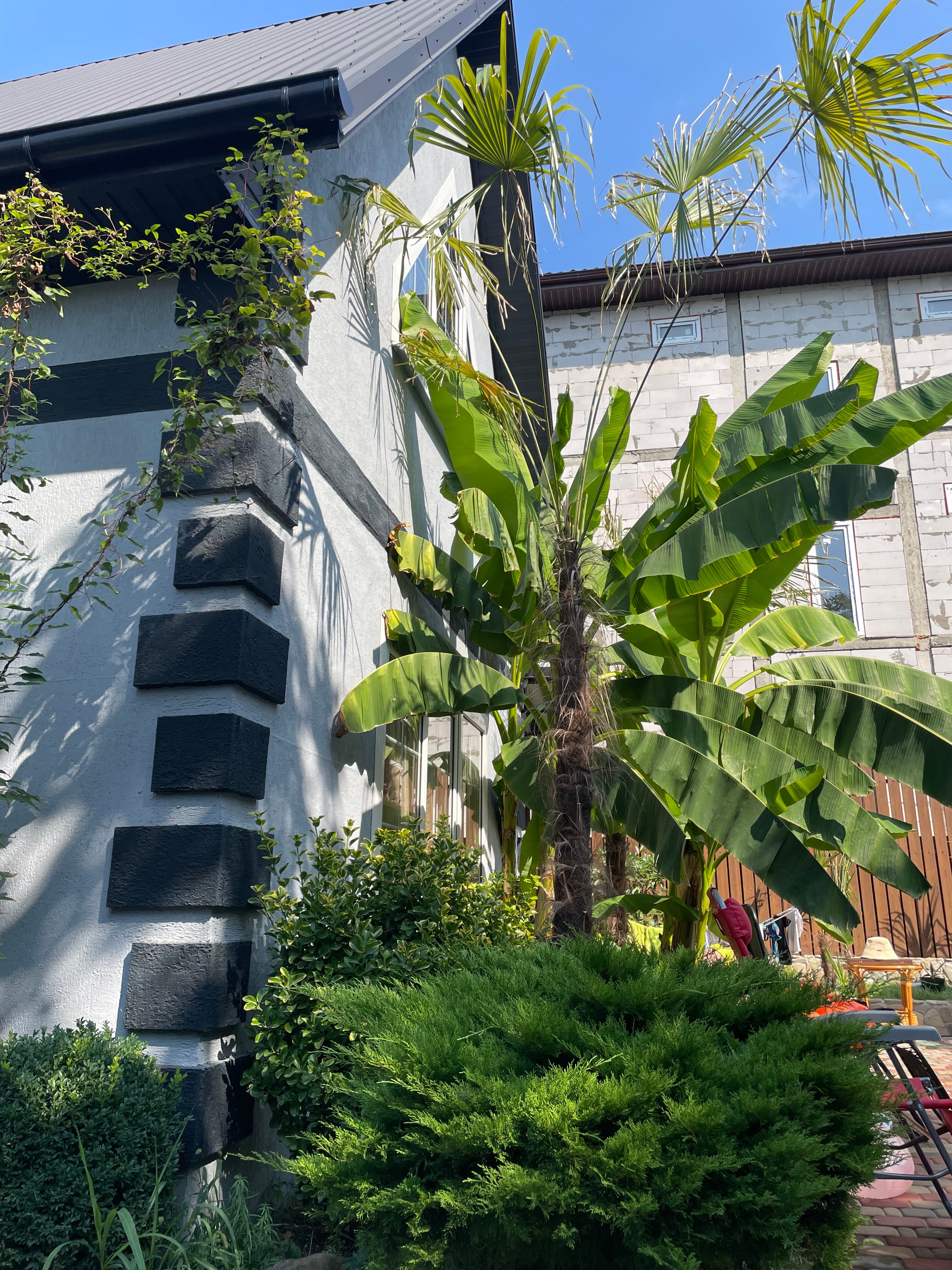 Фото Рай в шалаше