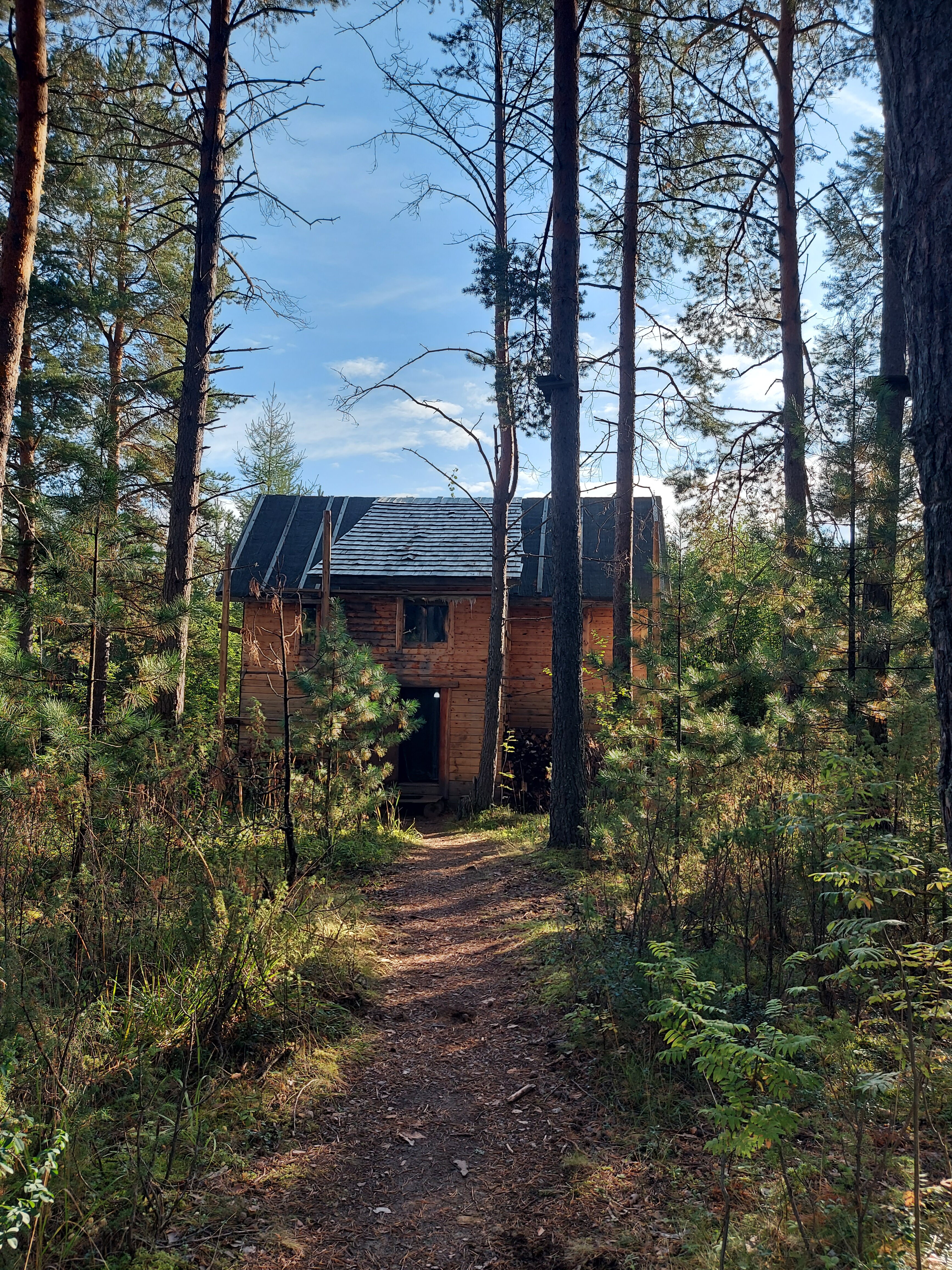 Фото Таежная Рось