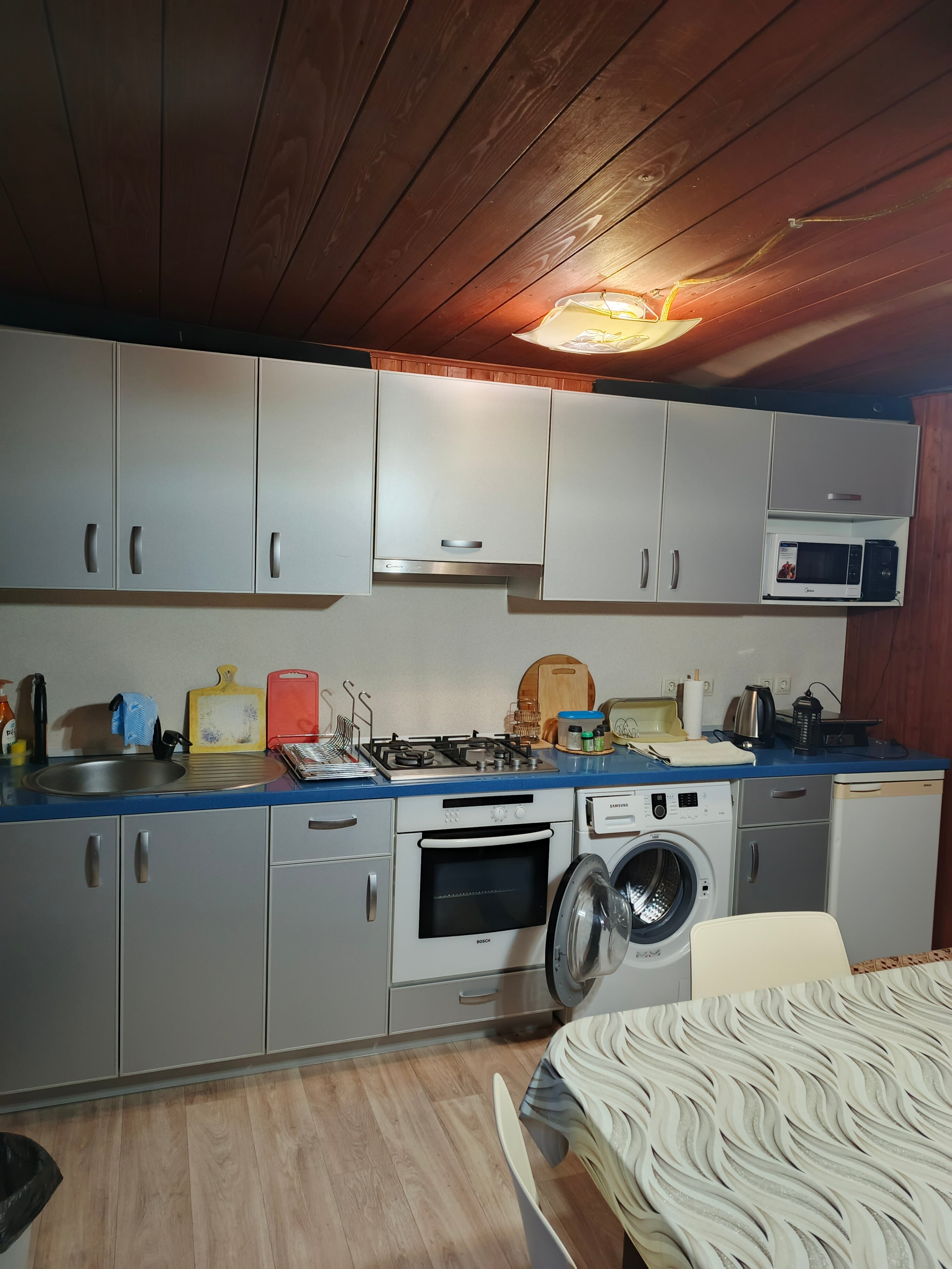 Фото Розмарин