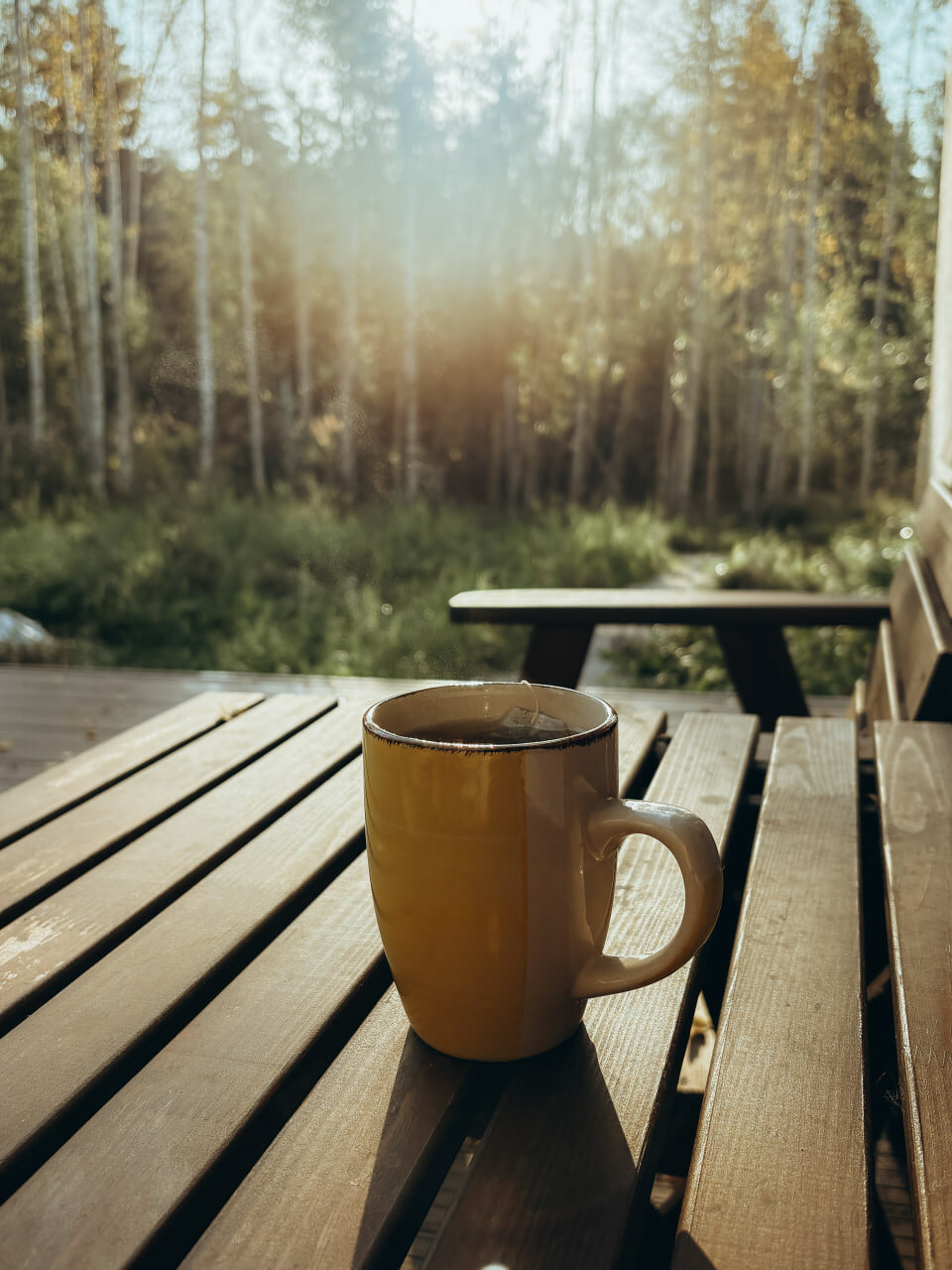 Фото Run, For Rest