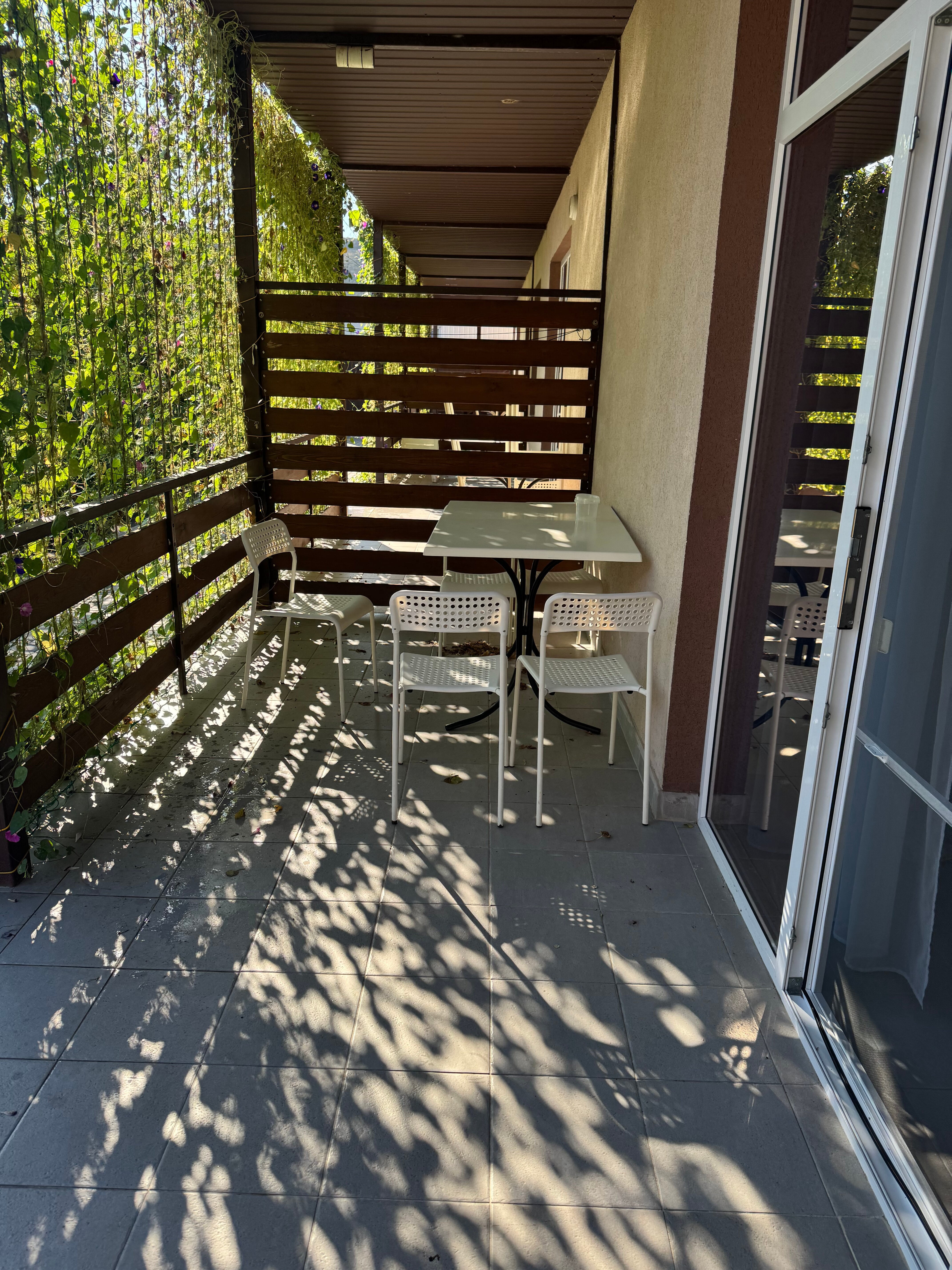 Фото Солнечный