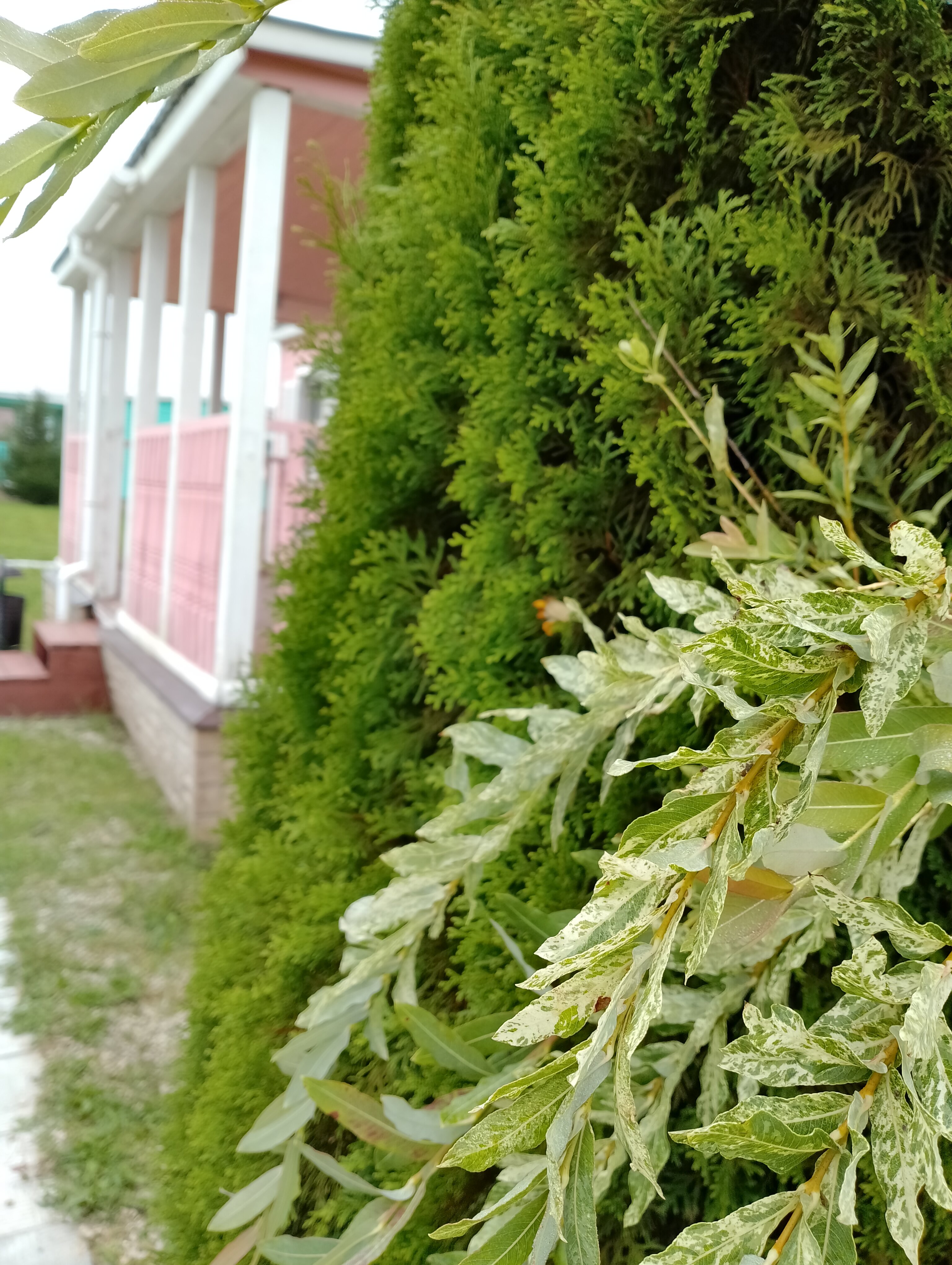 Фото Солнечный дом