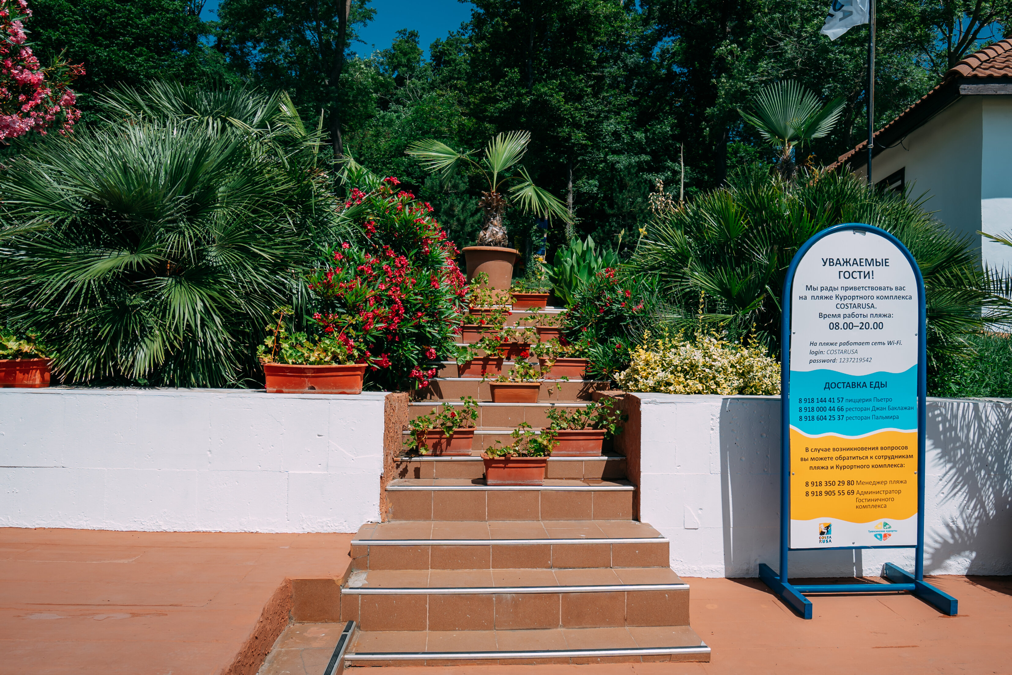 Фото Green Apple