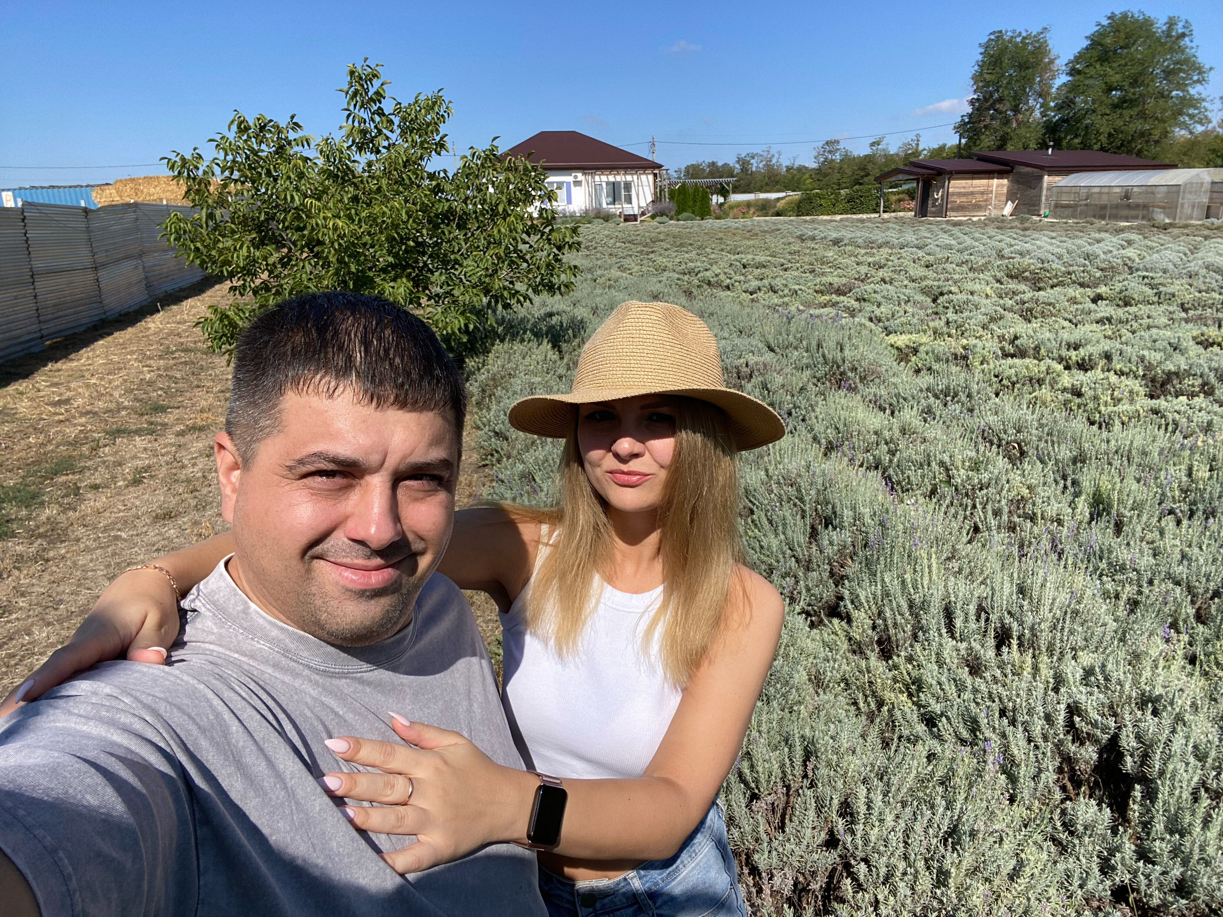 Фото Лавандовые холмы