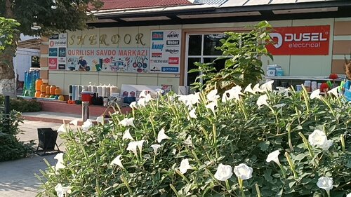 Shopping mall Sherdor, Asaka, photo