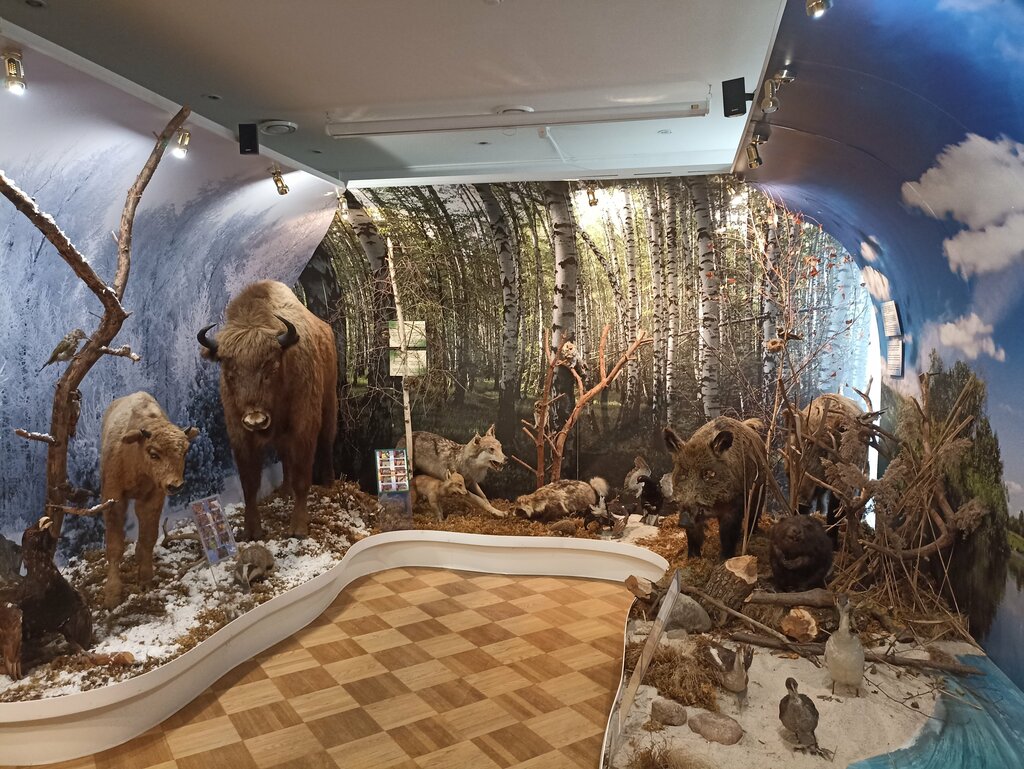 Museum Krayevedchesky Muzey im F. K. Bogushevicha Oshmyansky Uk, Ashmyany, photo