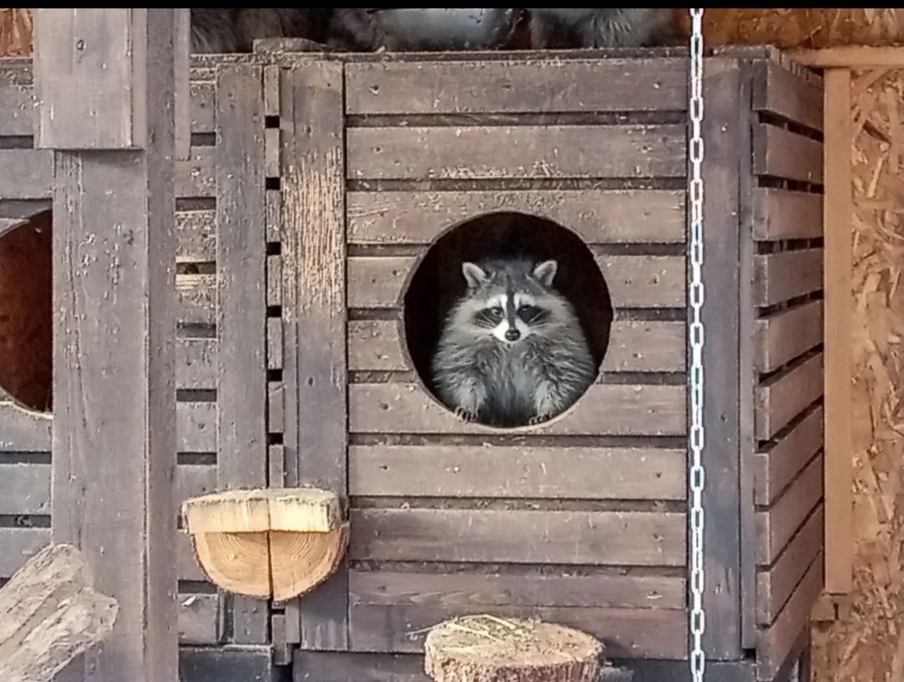 Фото Русские Сезоны Вятские Дачи