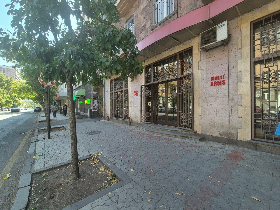 Weapons and self defense Multi Arms, Yerevan, photo