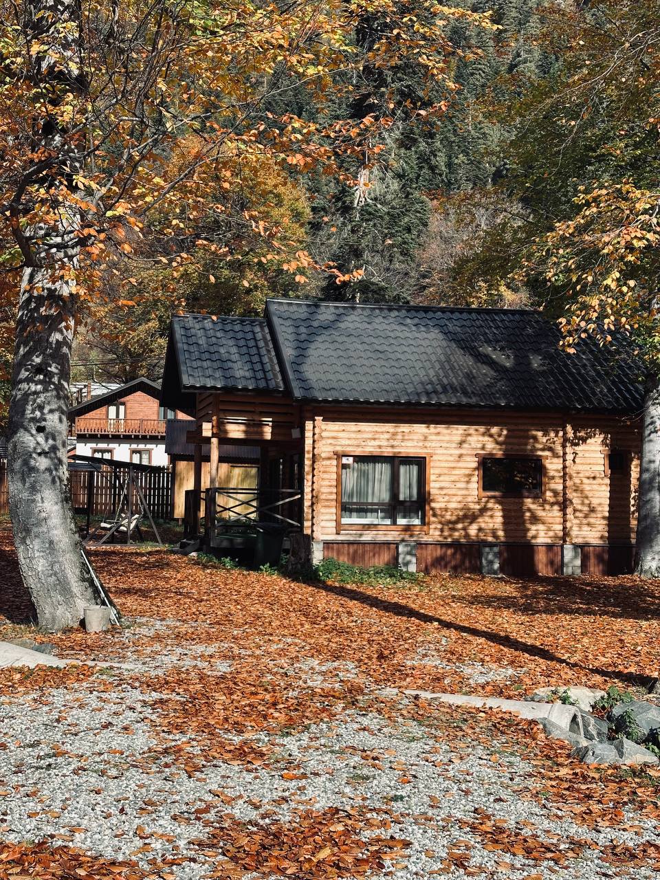 Фото Пихта-парк