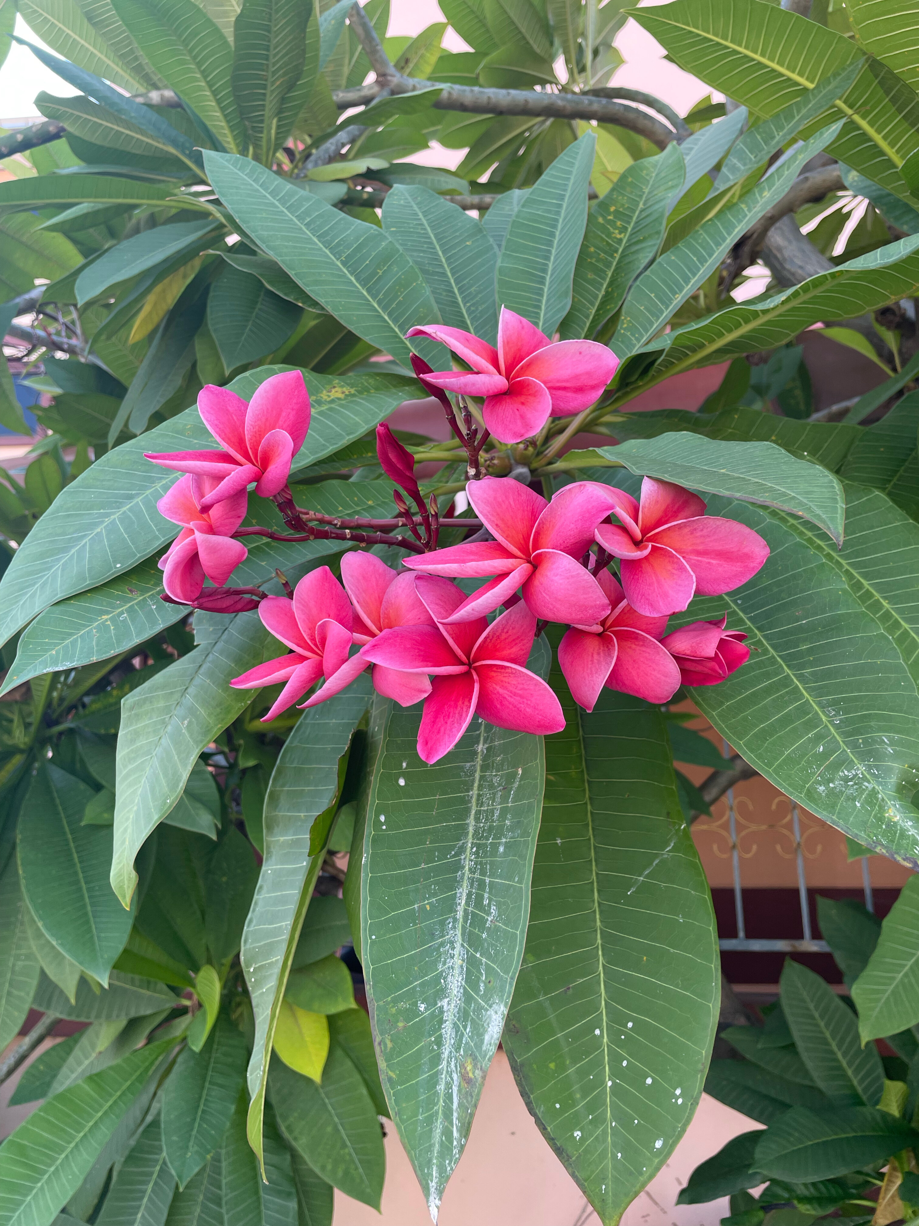 Фото Let's Hyde Pattaya Resort & Villas