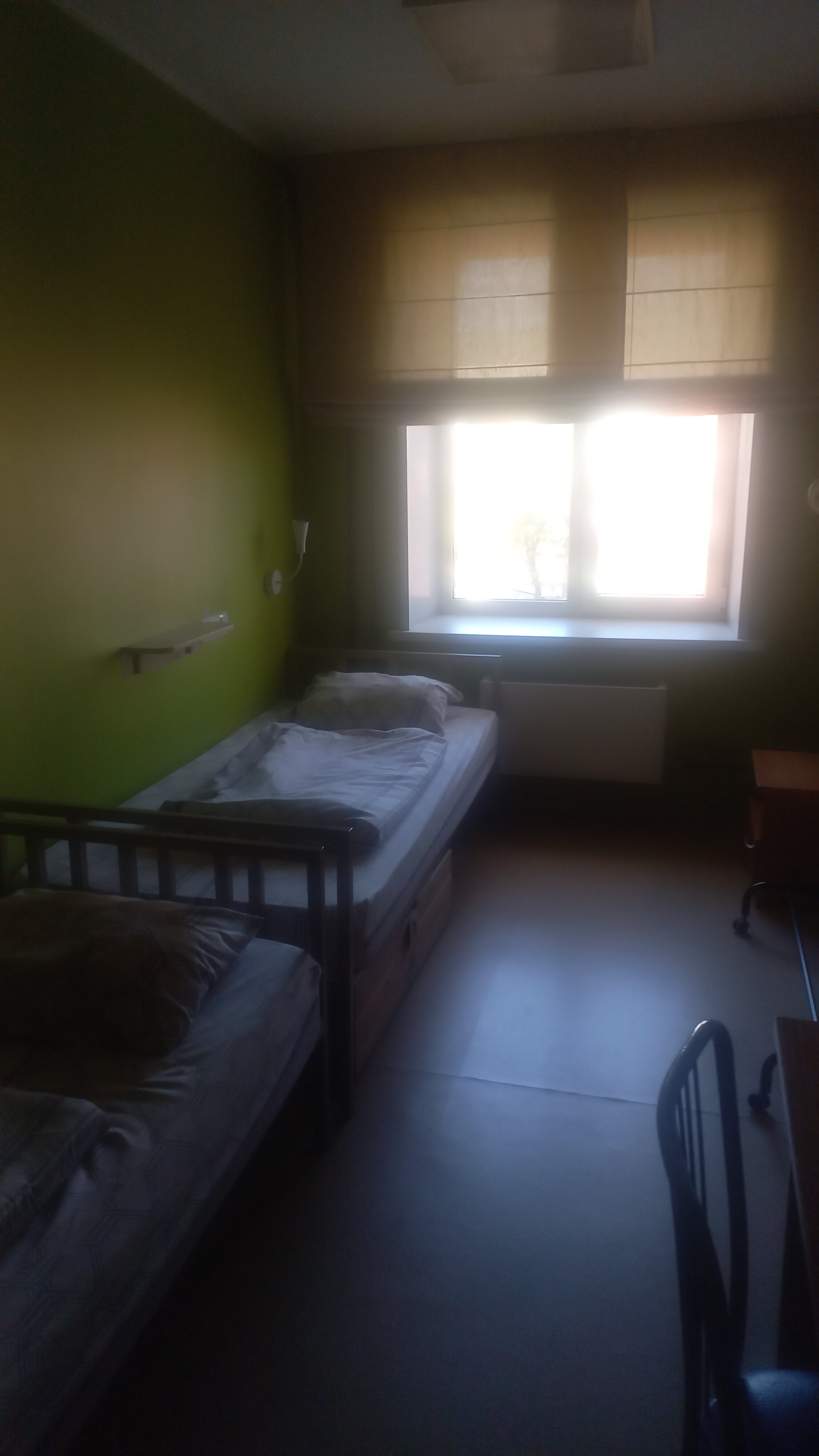 Фото Нарцисс