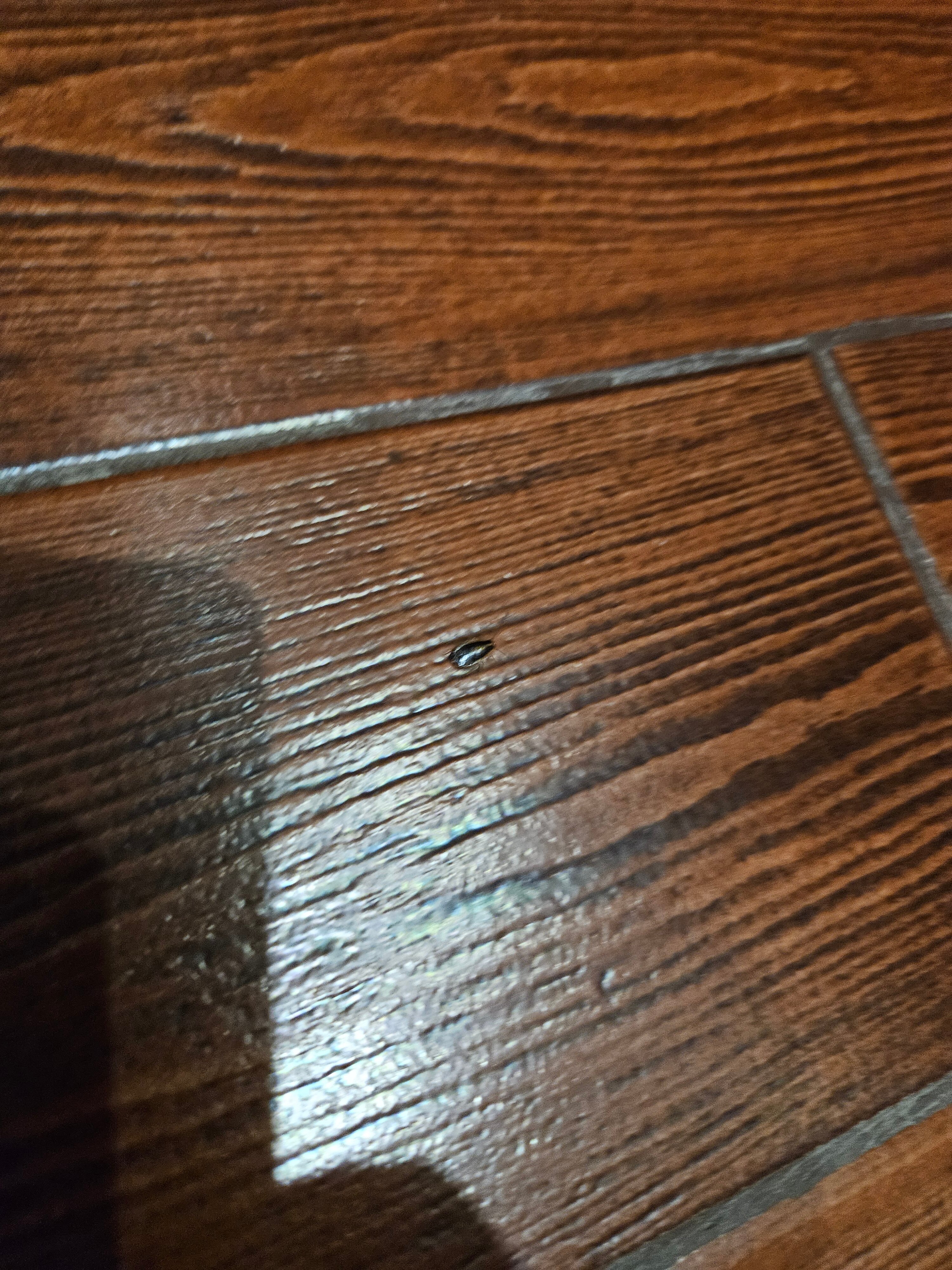 Фото Строгино Экспо