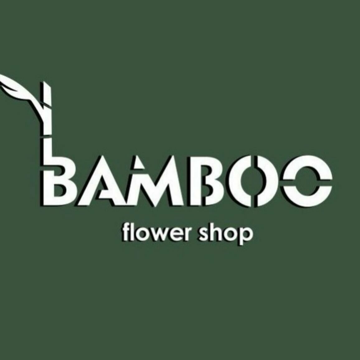 Bamboo