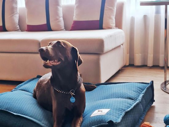 Фото Seda Residences Makati