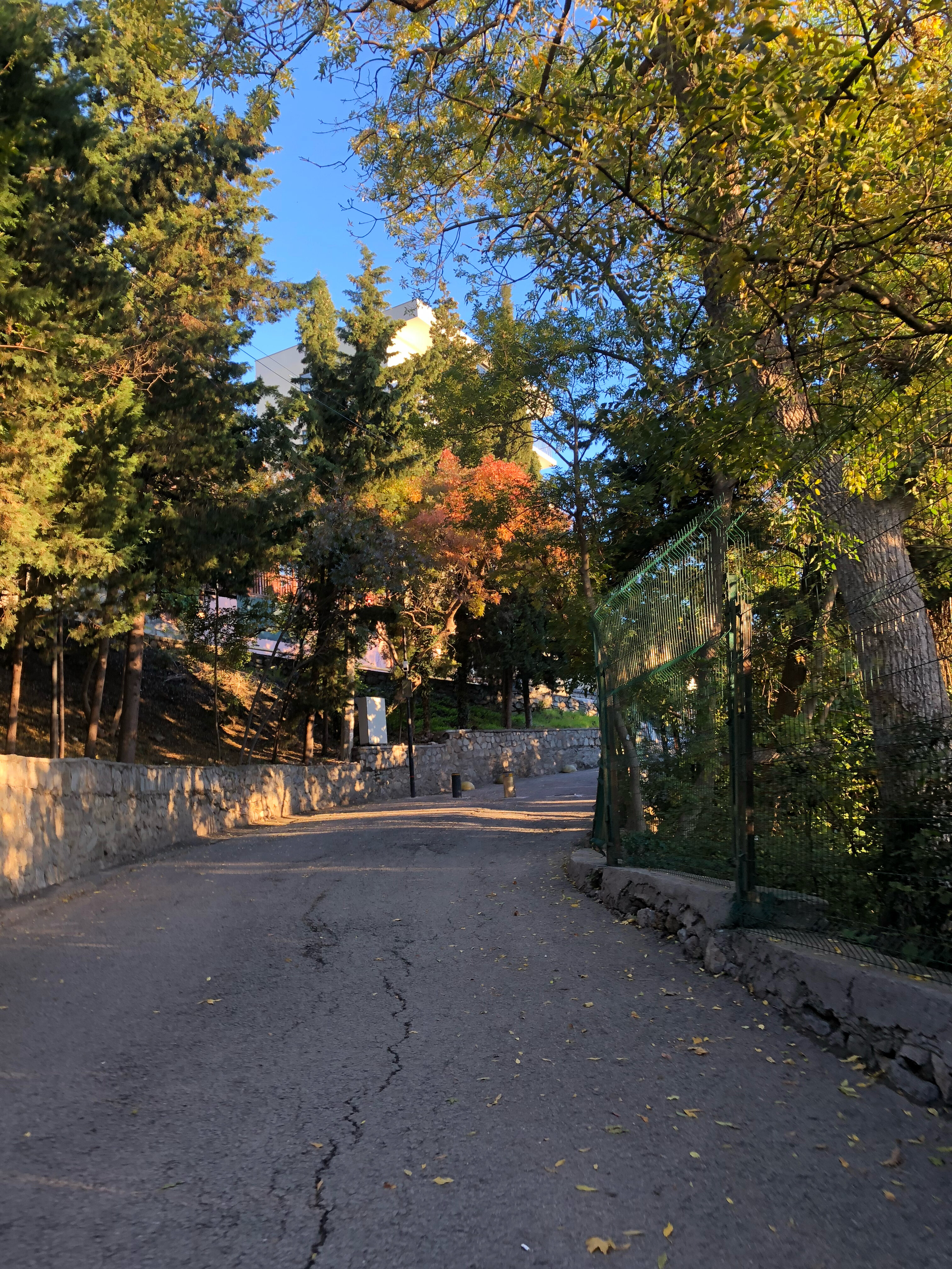 Фото Гостевой дом Ласточкин