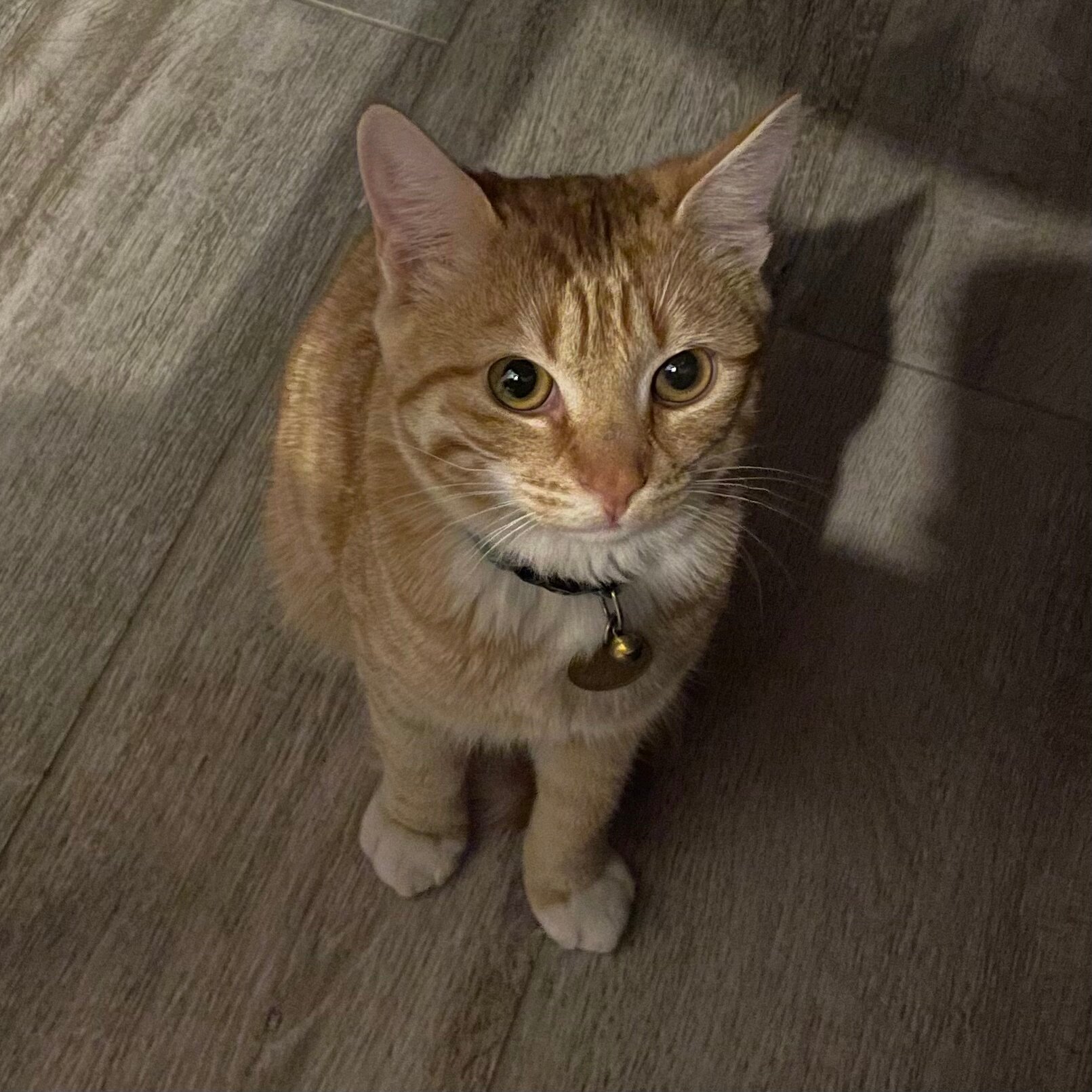 Фото Karelia shum off