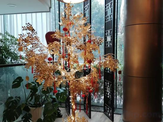 Фото Argyle International Airport Hotel Shanghai