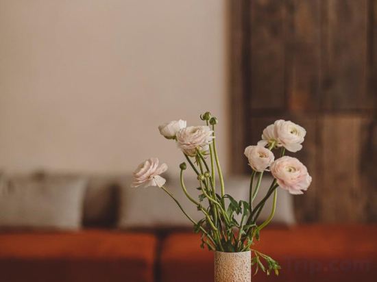 Фото 63603064770