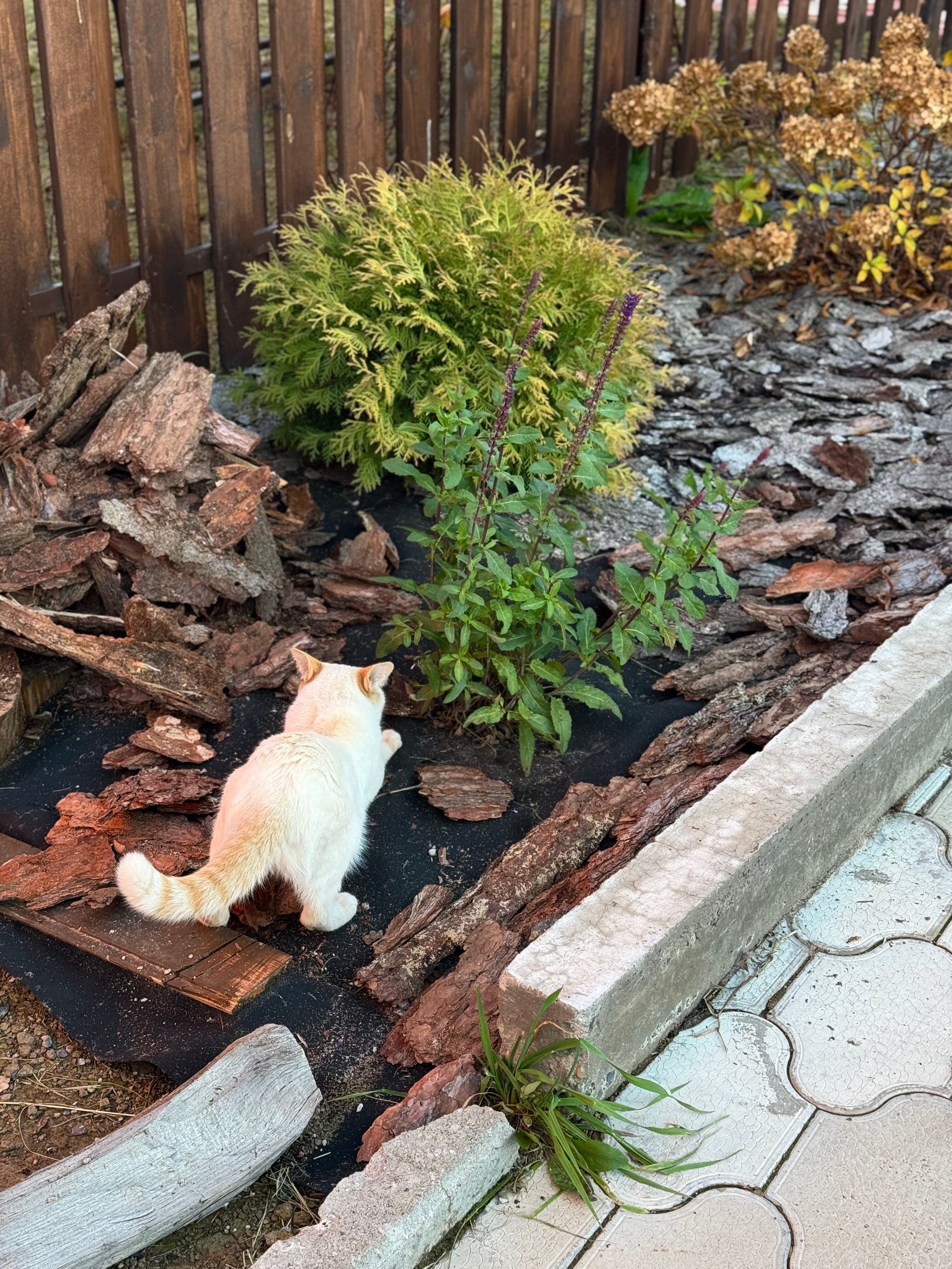 Фото Кама Парк