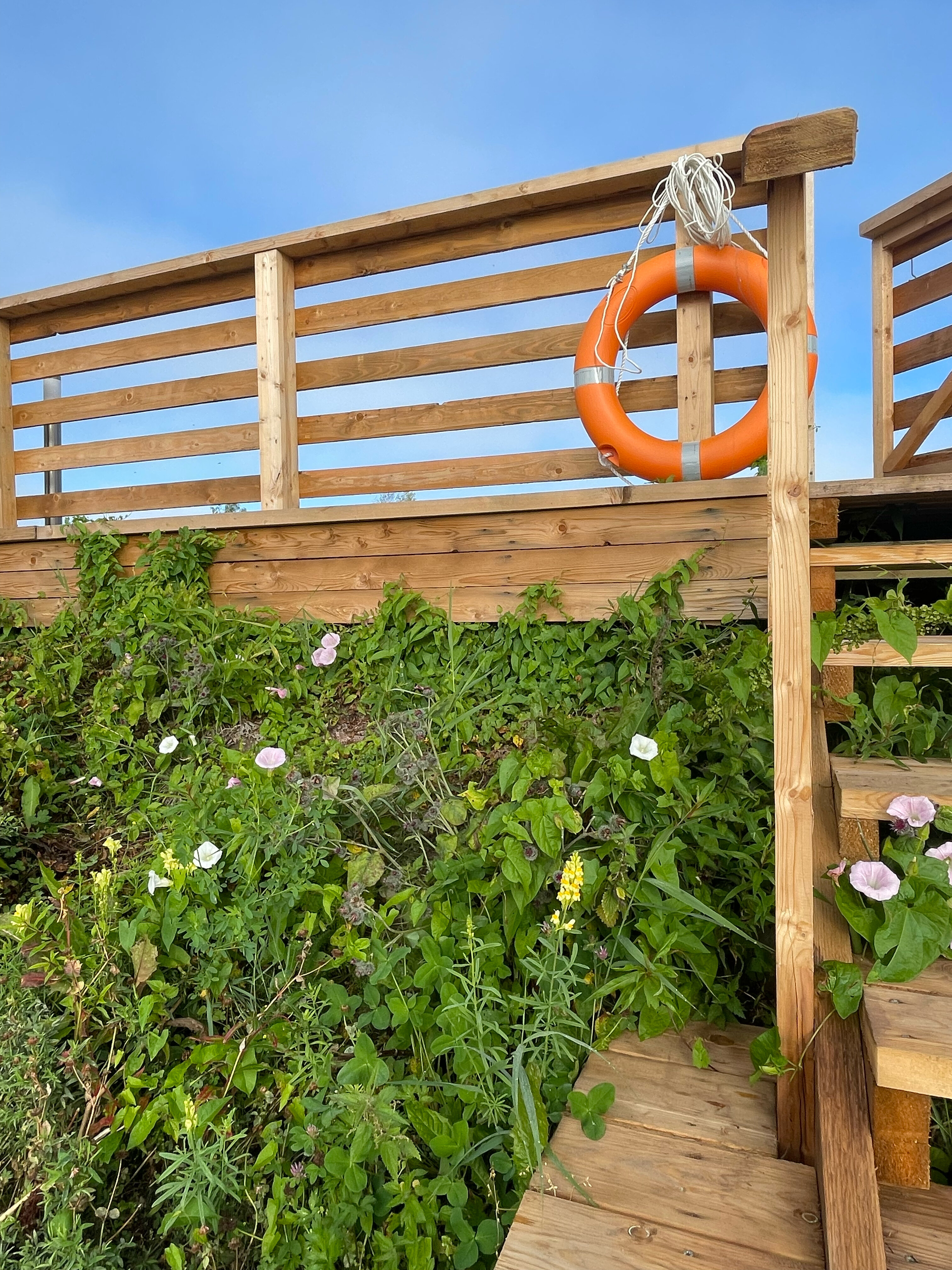 Фото Ворссунсалми